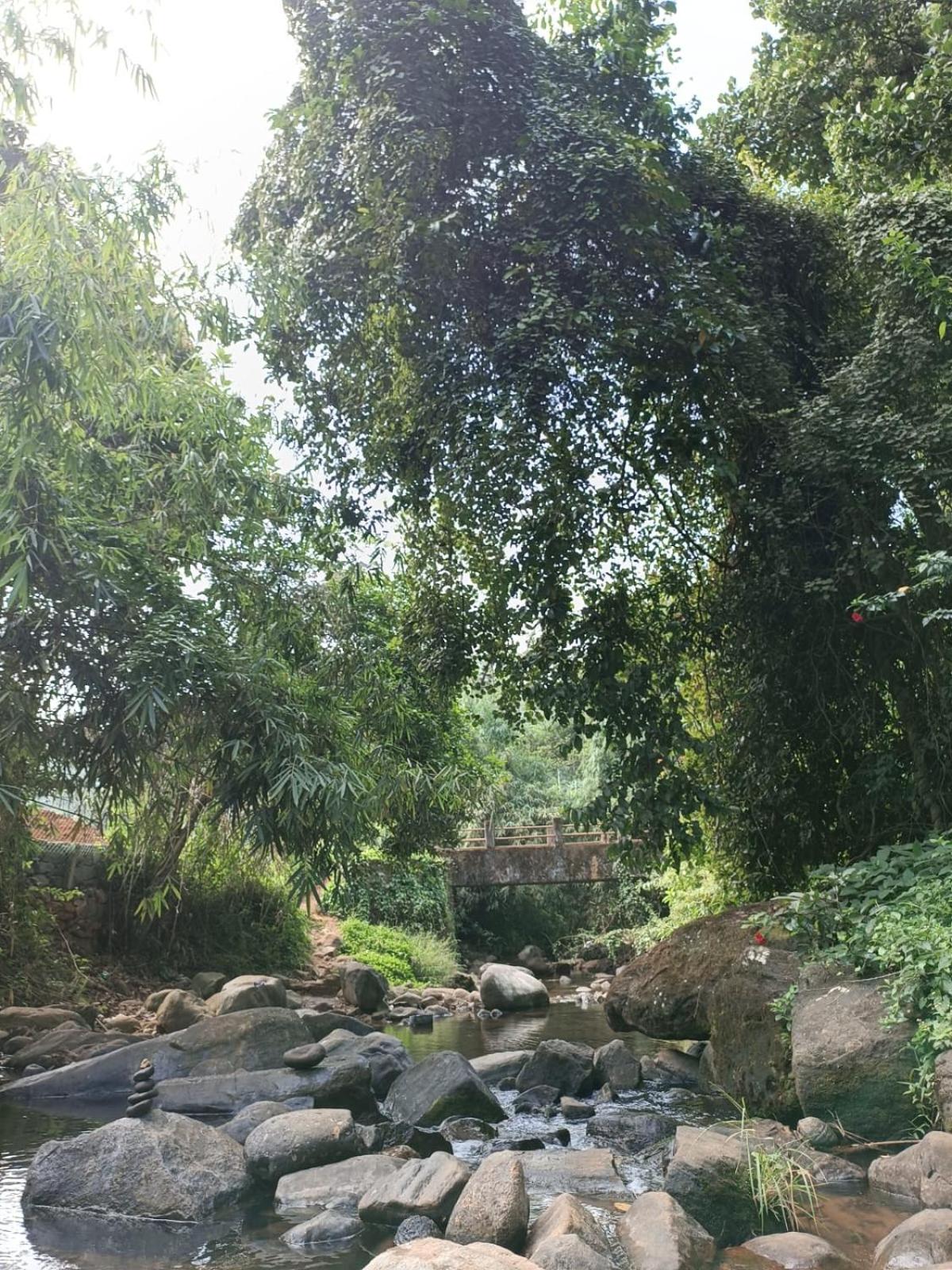 Photo 38