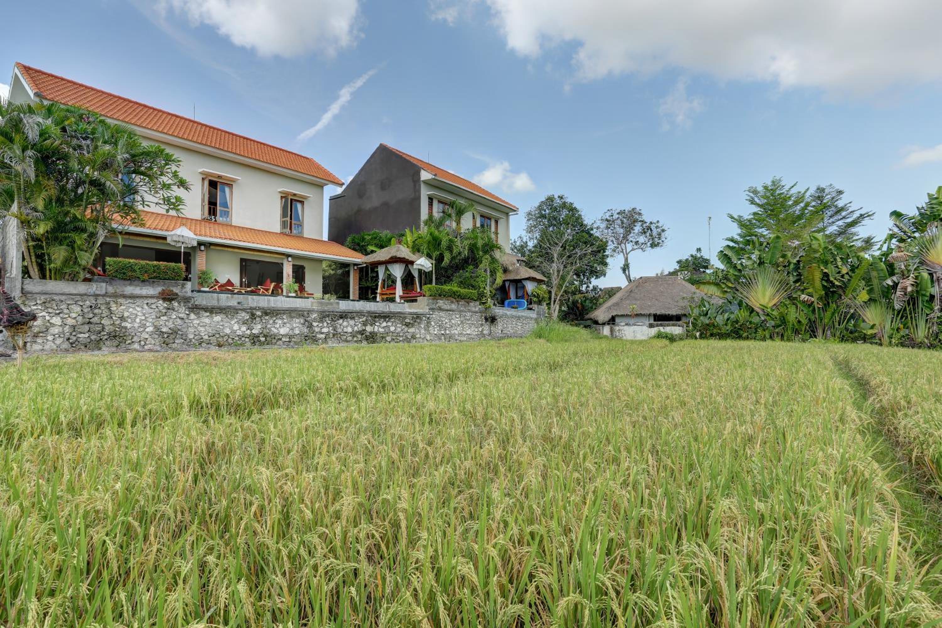 Rice Paddy View, 3 Br, Sleeps 6, Walk to Cafes