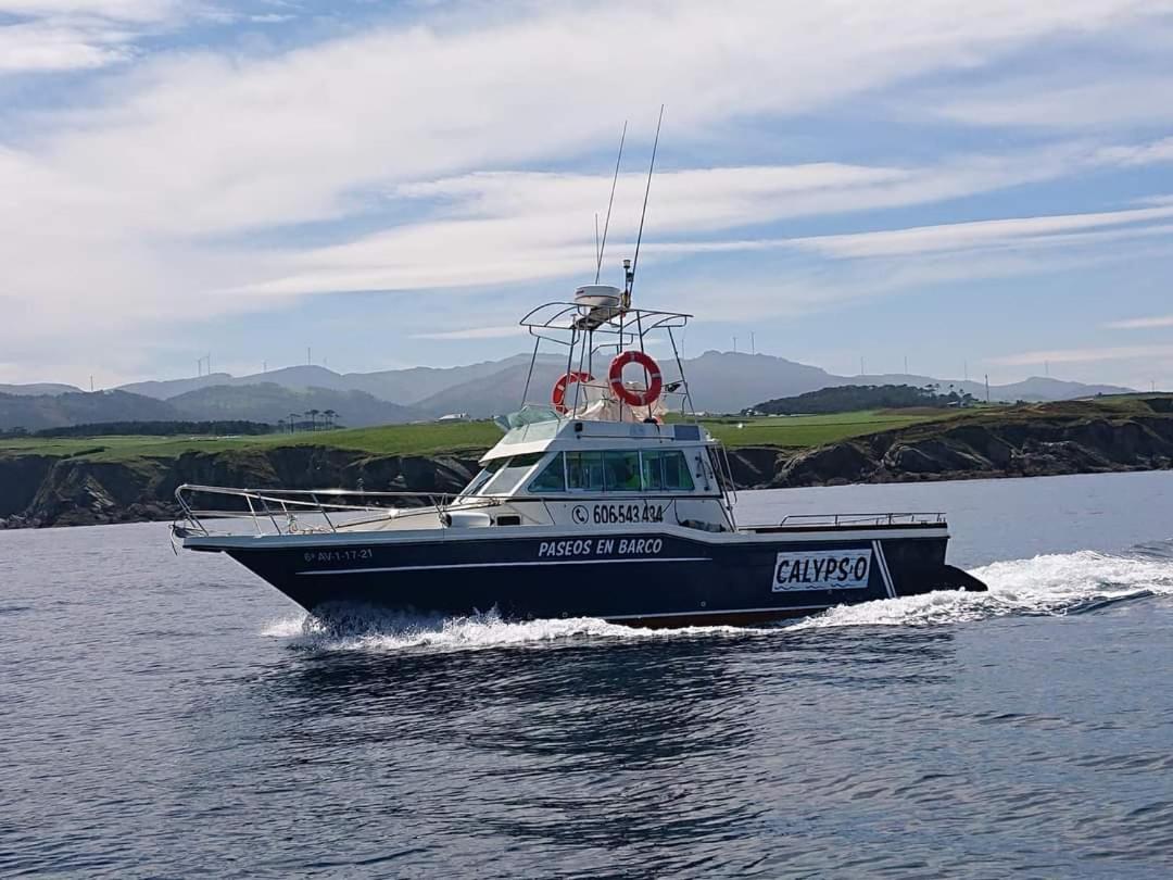 EL CAMBARAL del PUERTO