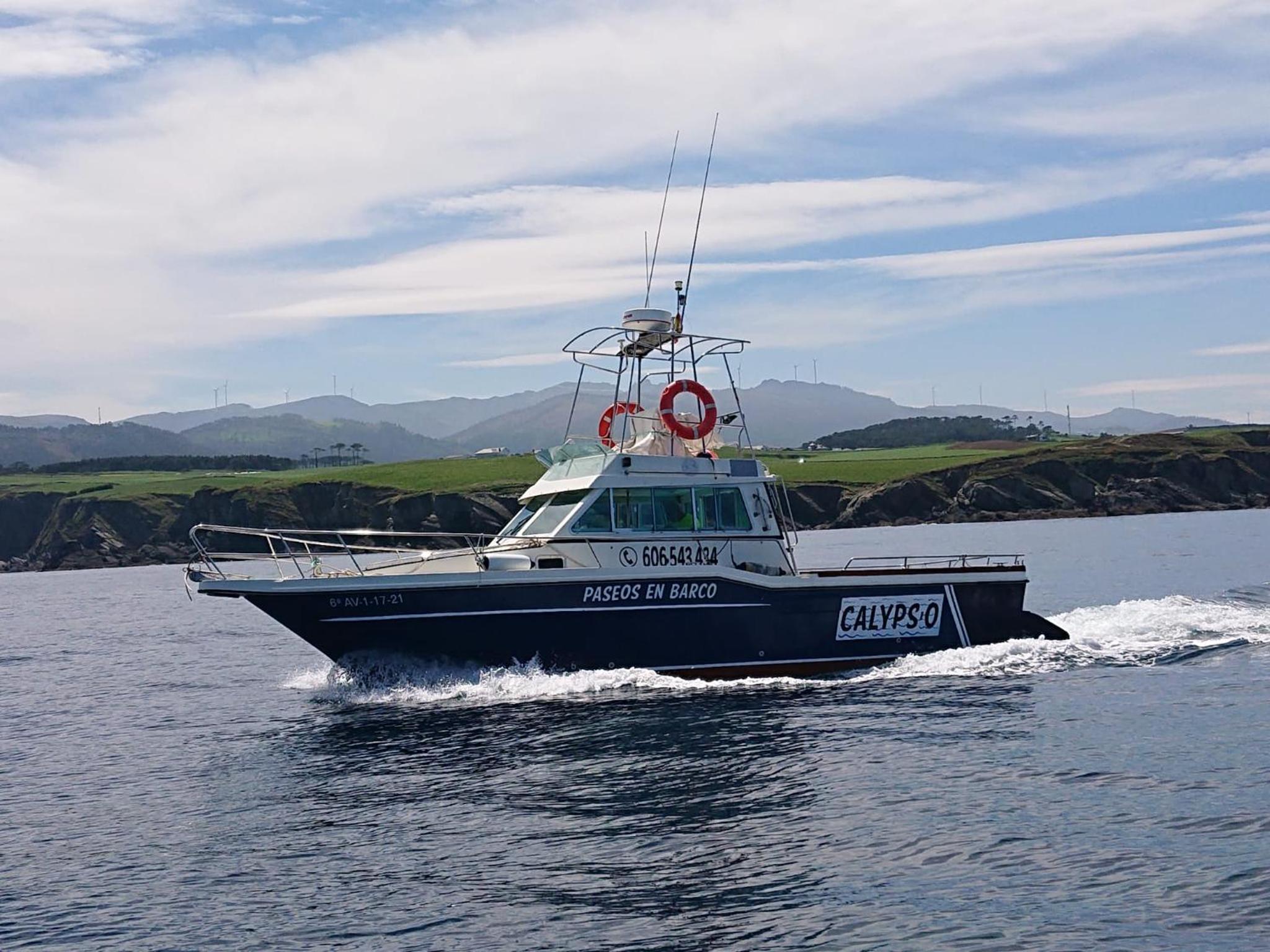 EL CAMBARAL del PUERTO