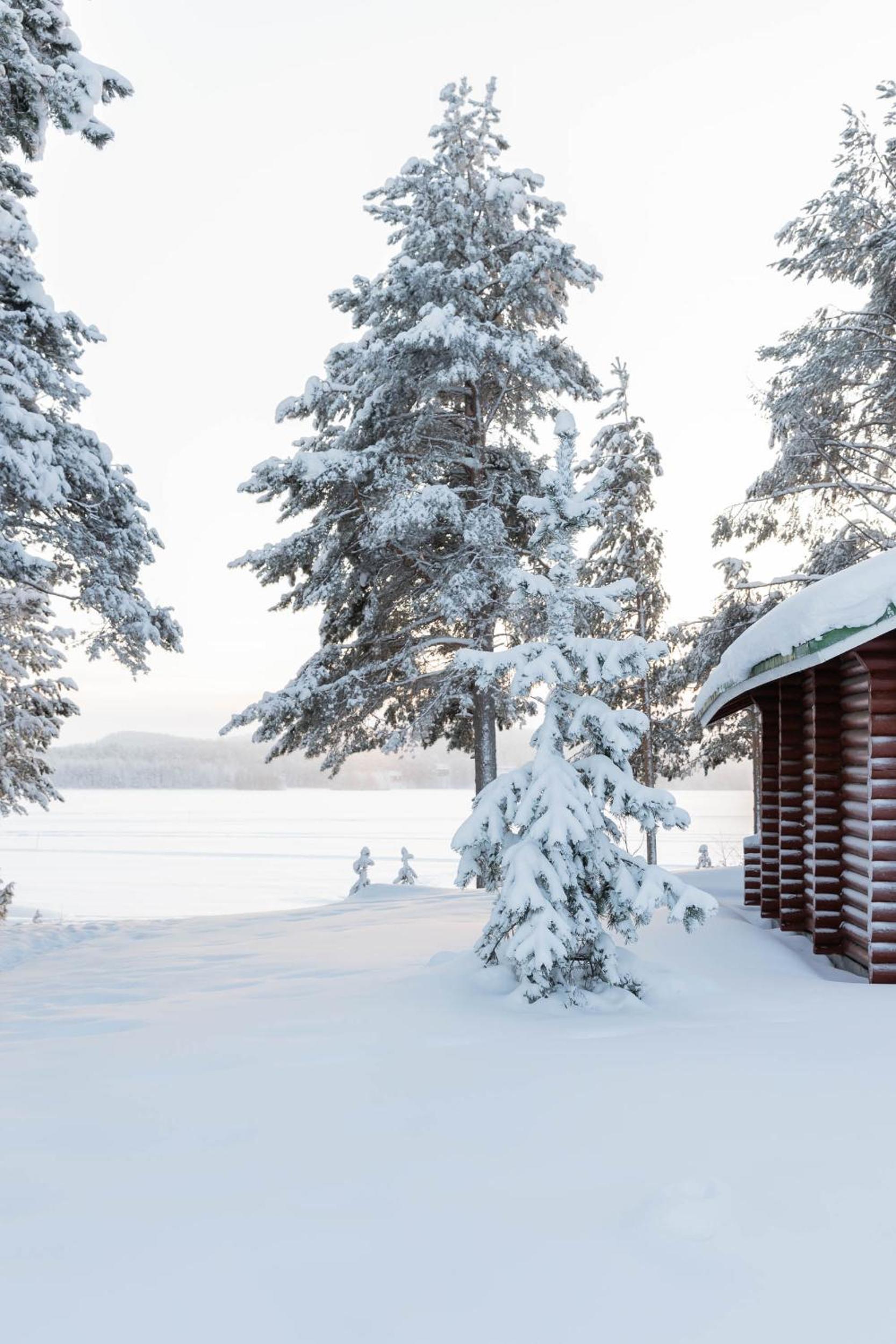 Lapland Arctic Cabins