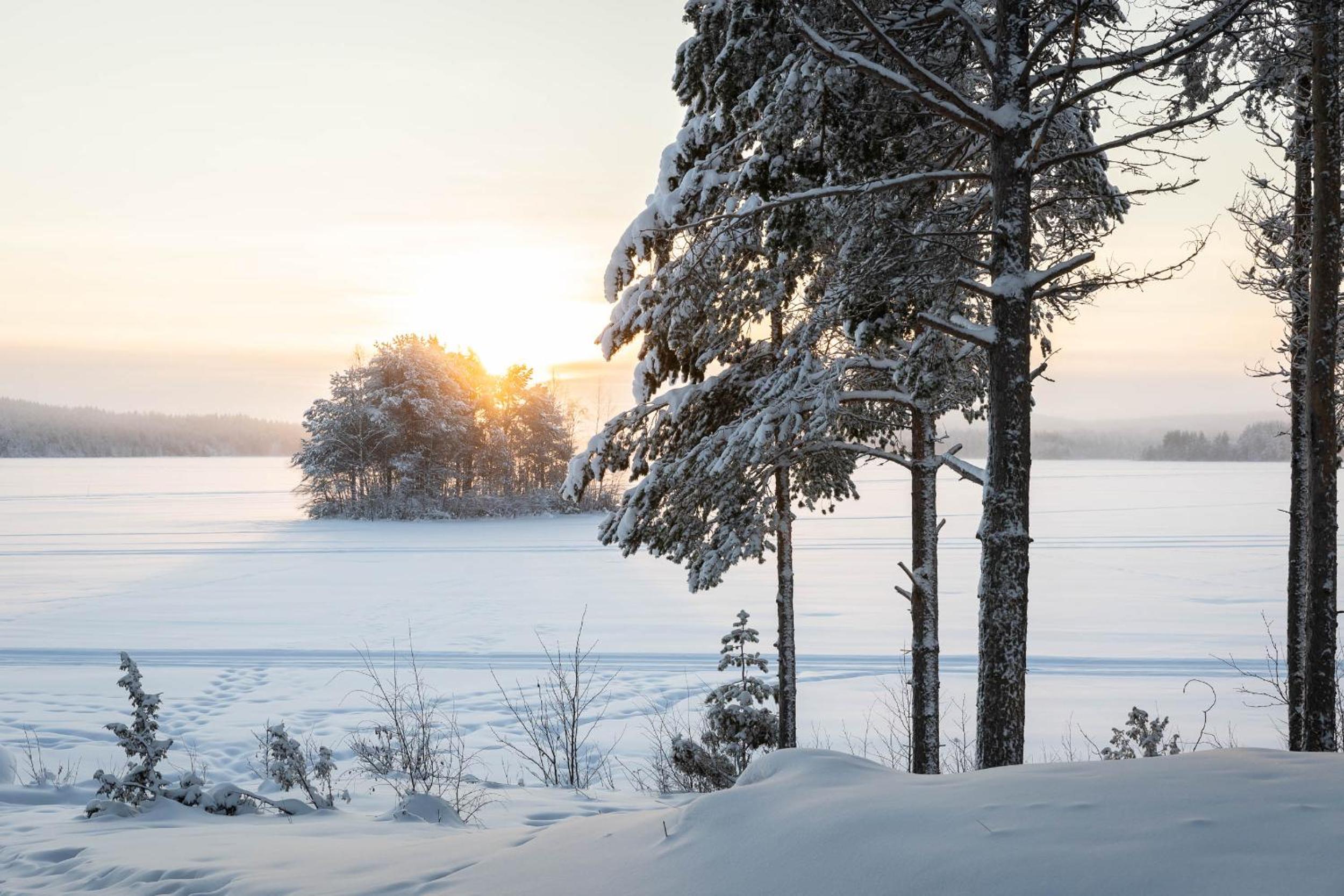 Lapland Arctic Cabins