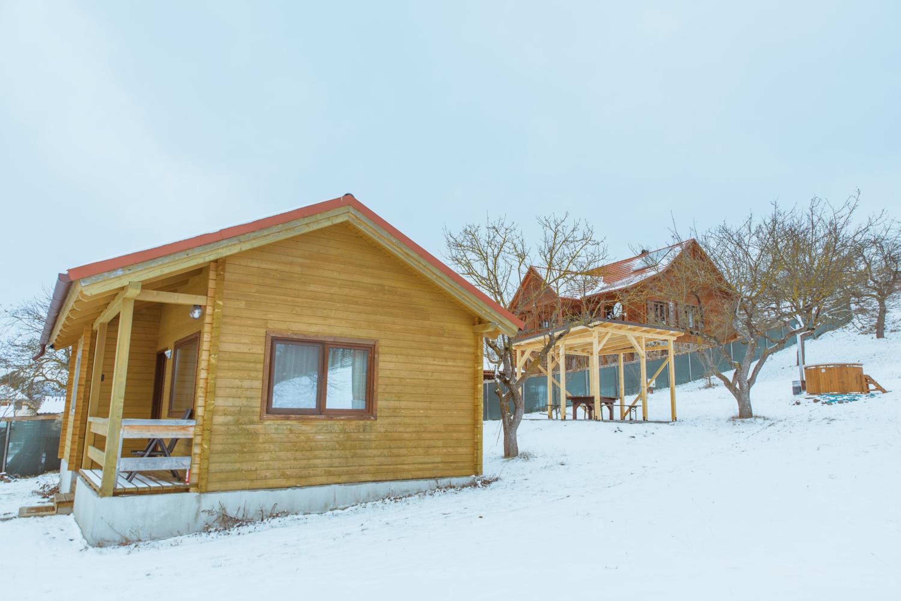 Photo 8