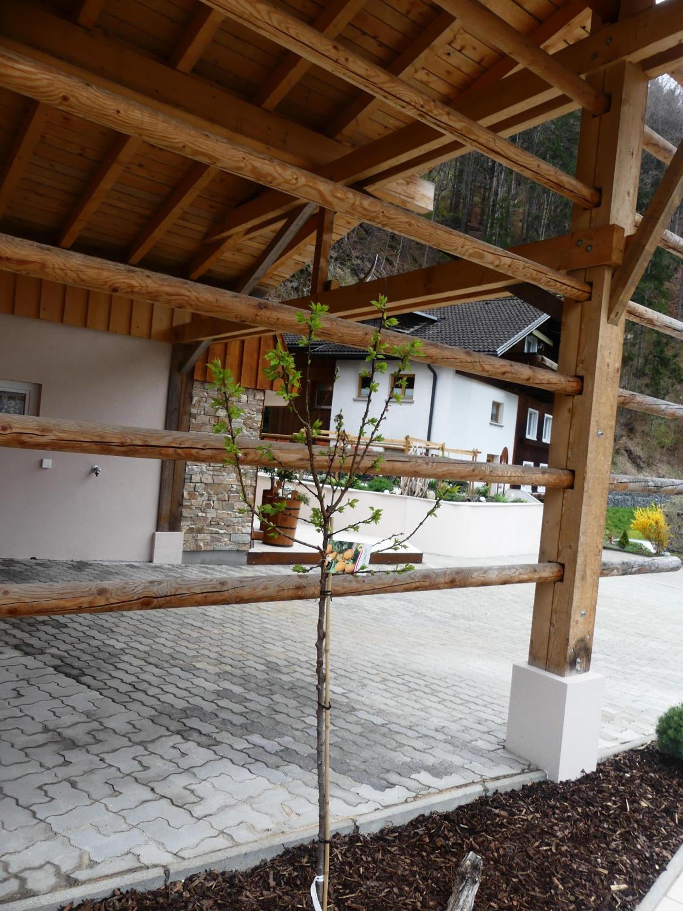Chalet Claudia