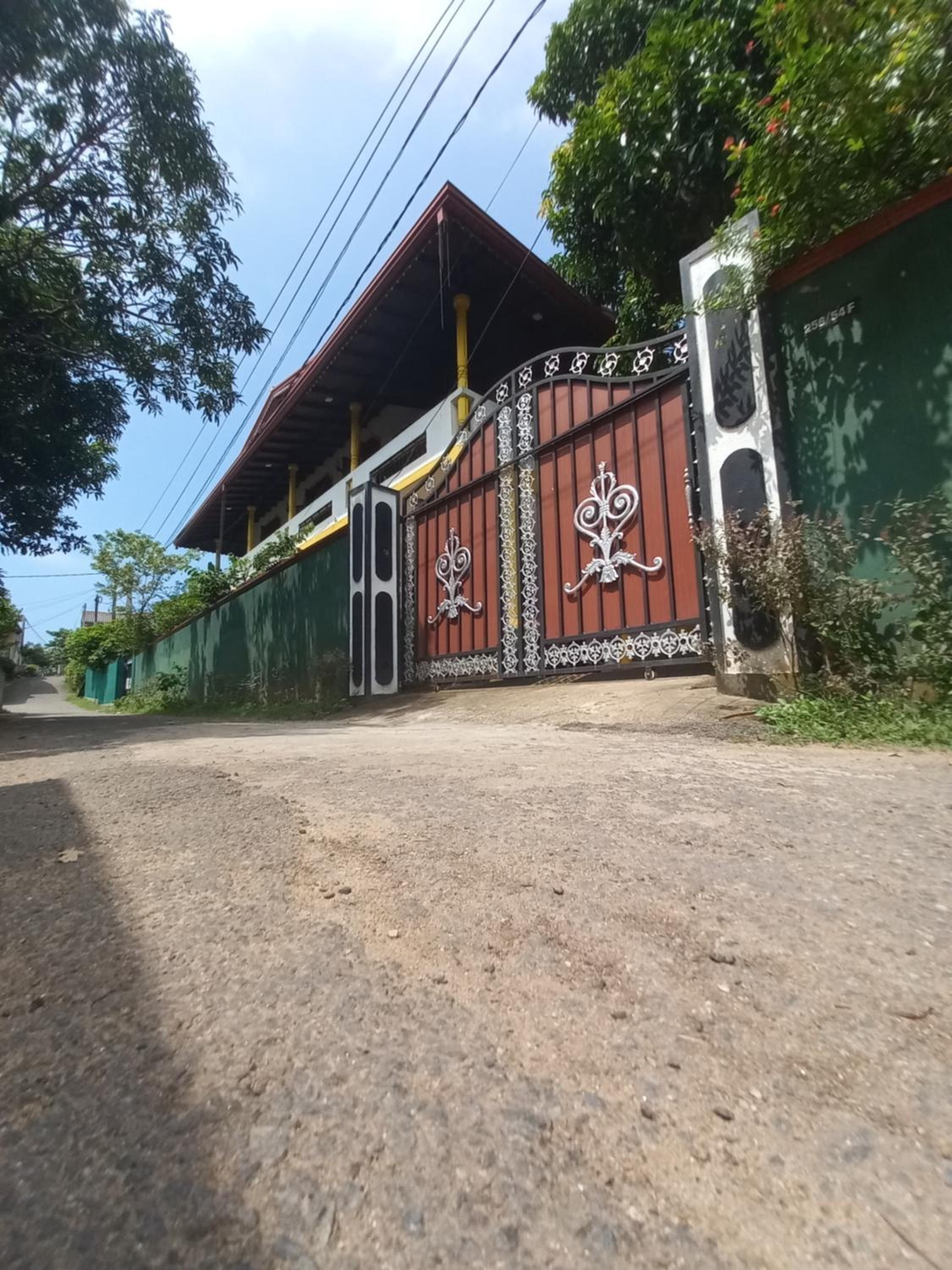 Whitetopgalle