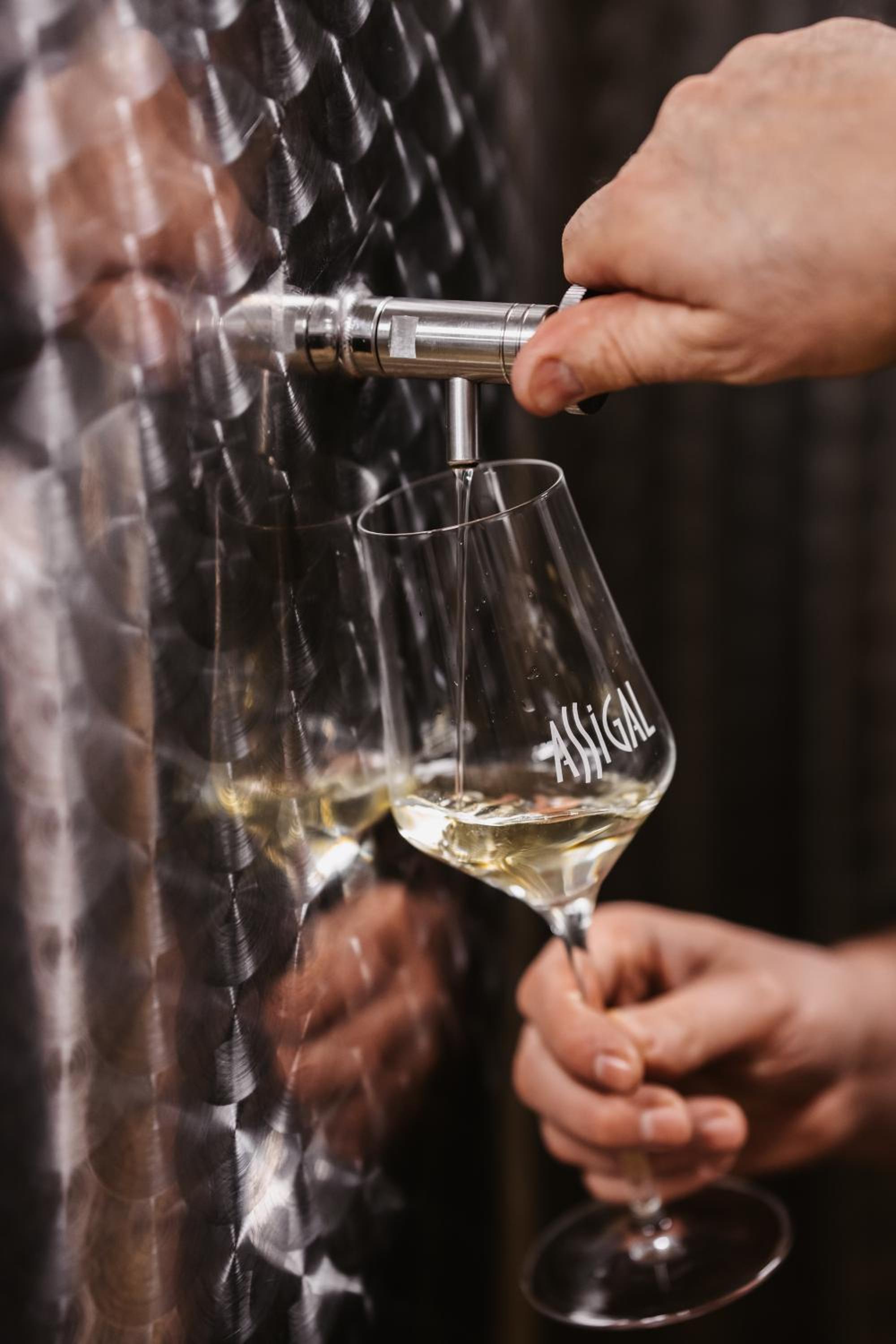 Weingut Assigal, photo 23