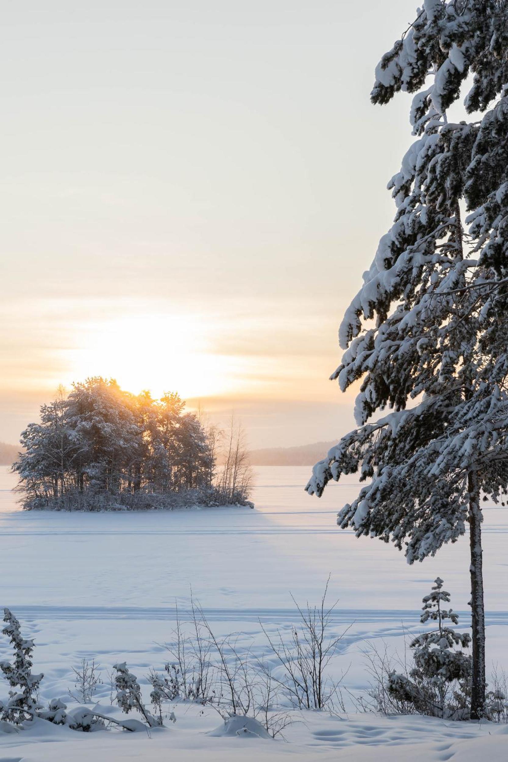 Lapland Arctic Cabins