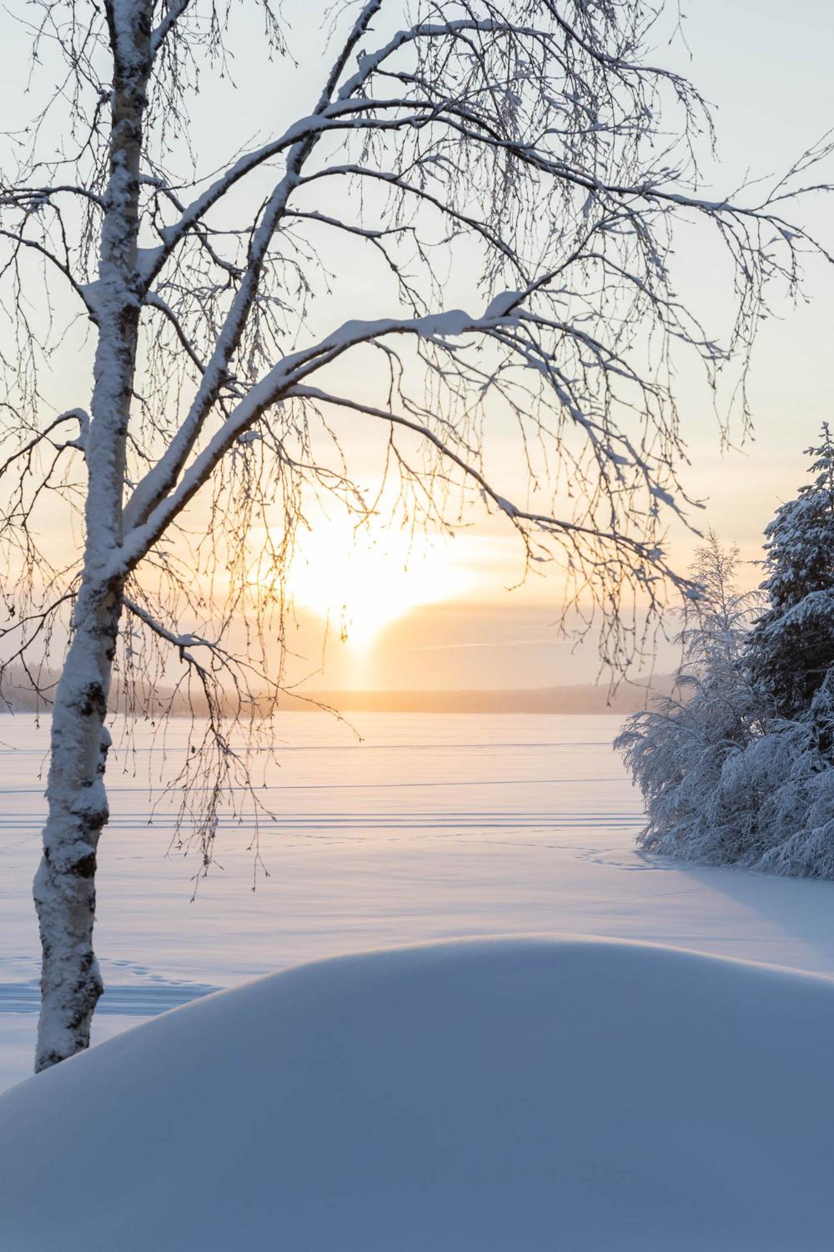 Lapland Arctic Cabins