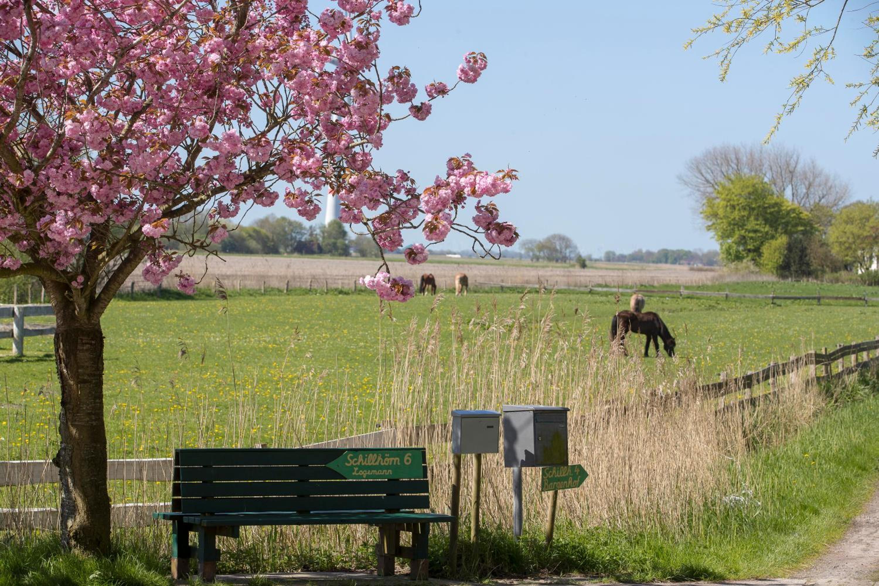 Fischerhäuschen am Kurpark