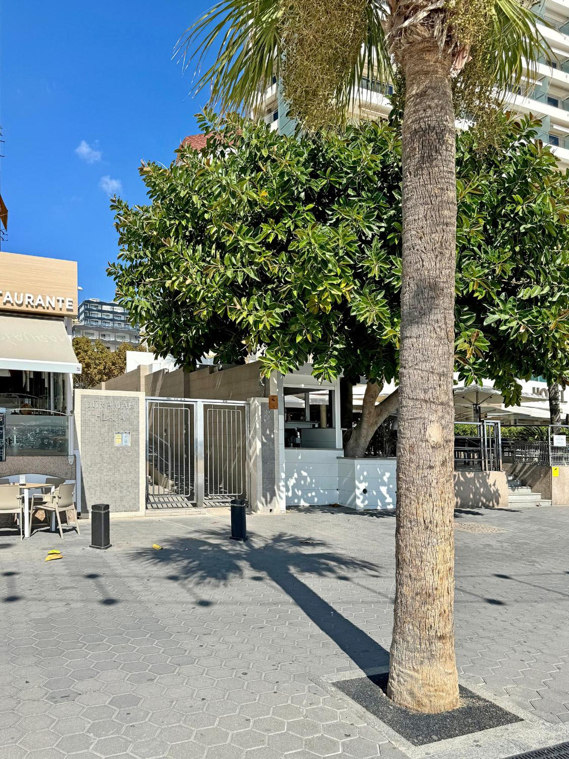 Estudio con sofá cama directamente en la playa - sin dormitorio