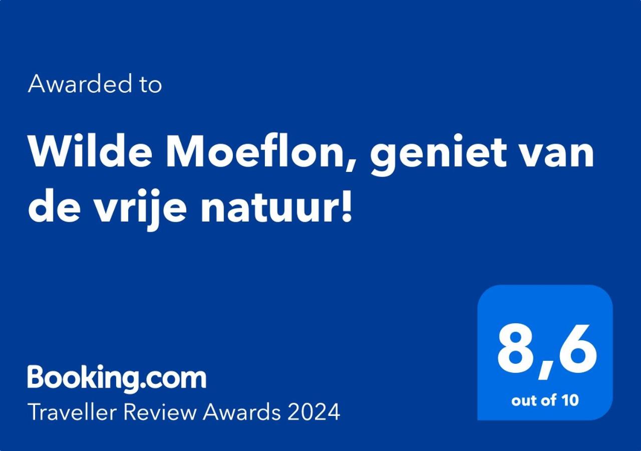 Wilde Moeflon, geniet van de vrije natuur! view 4