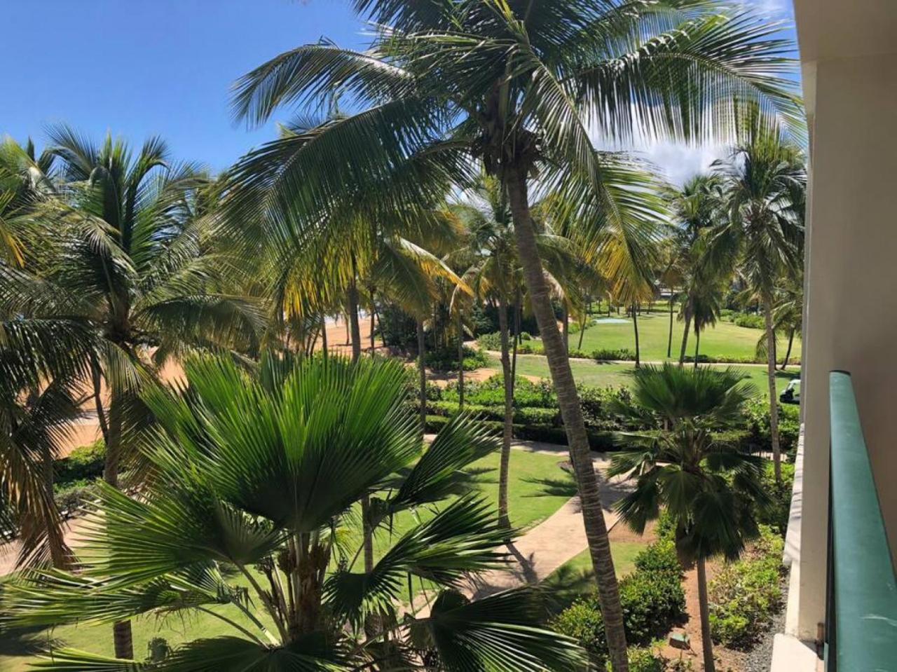 Luxury Beachfront 2 Bedroom at Wyndham Rio Mar, PR view 3