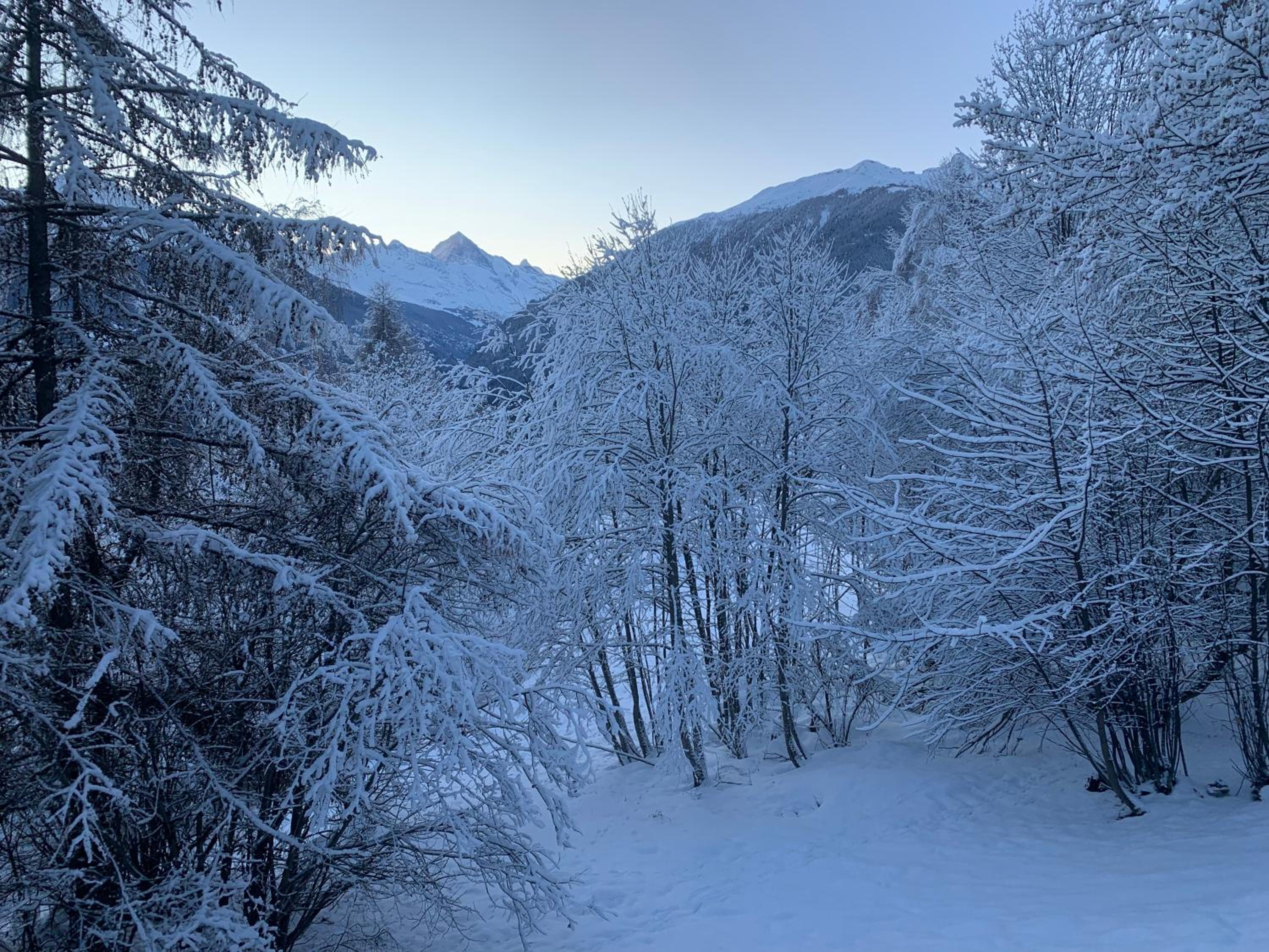 Chalet typique tout confort avec studio en dessous
