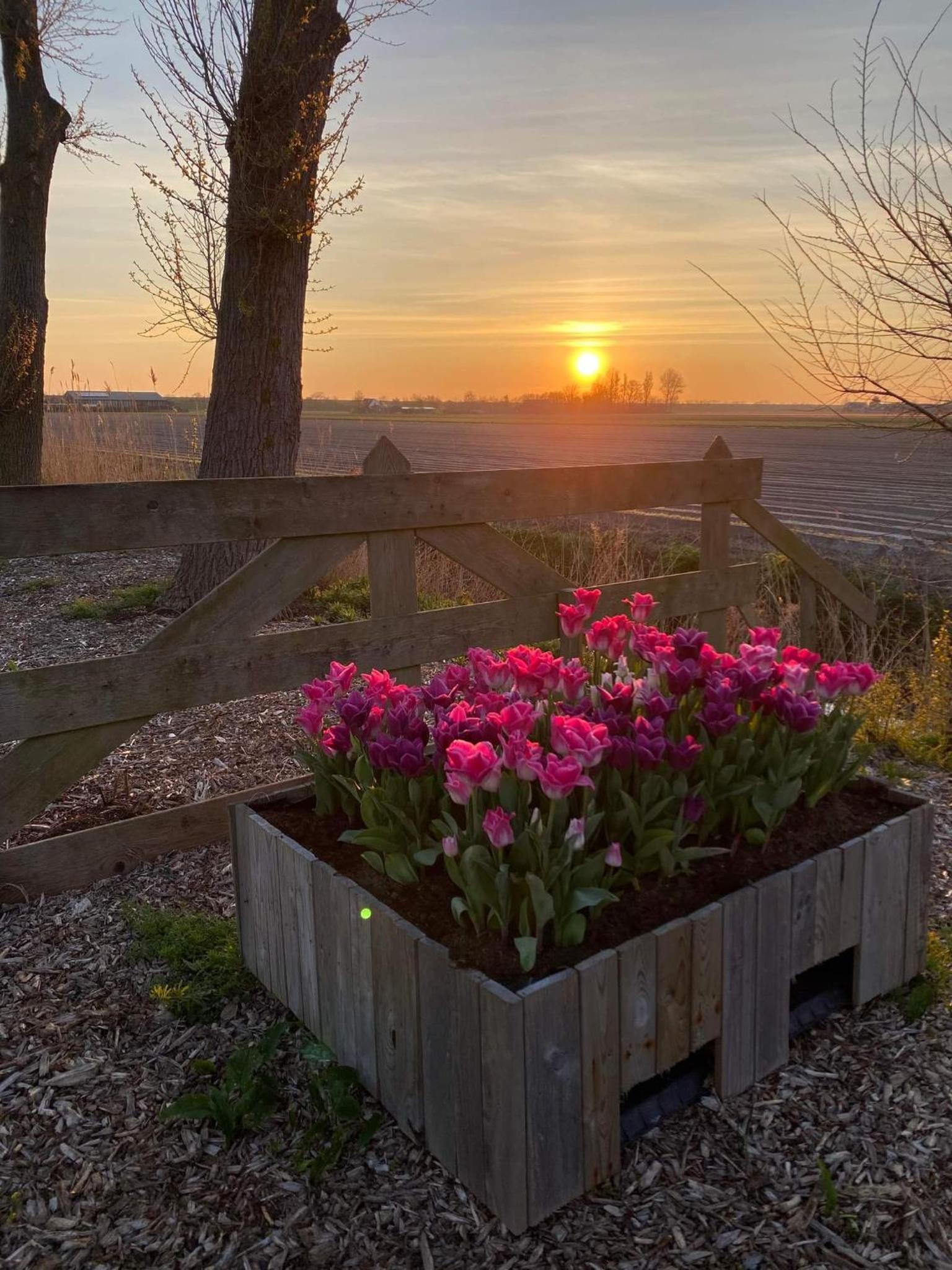 Camping De Tulpenweide lege Kampeerplaats, lege plaats op het gras zonder bed