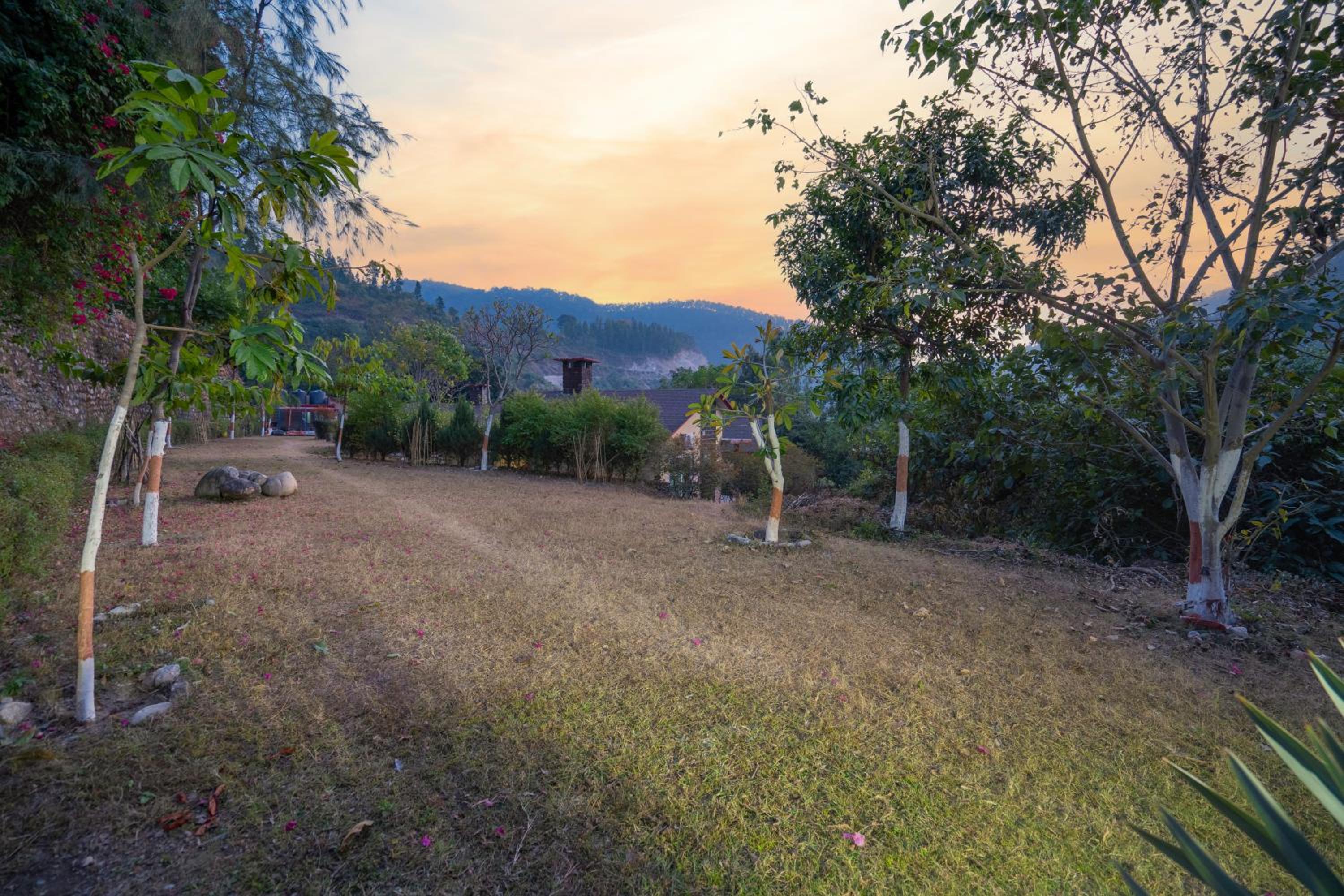 LaTigre Resort