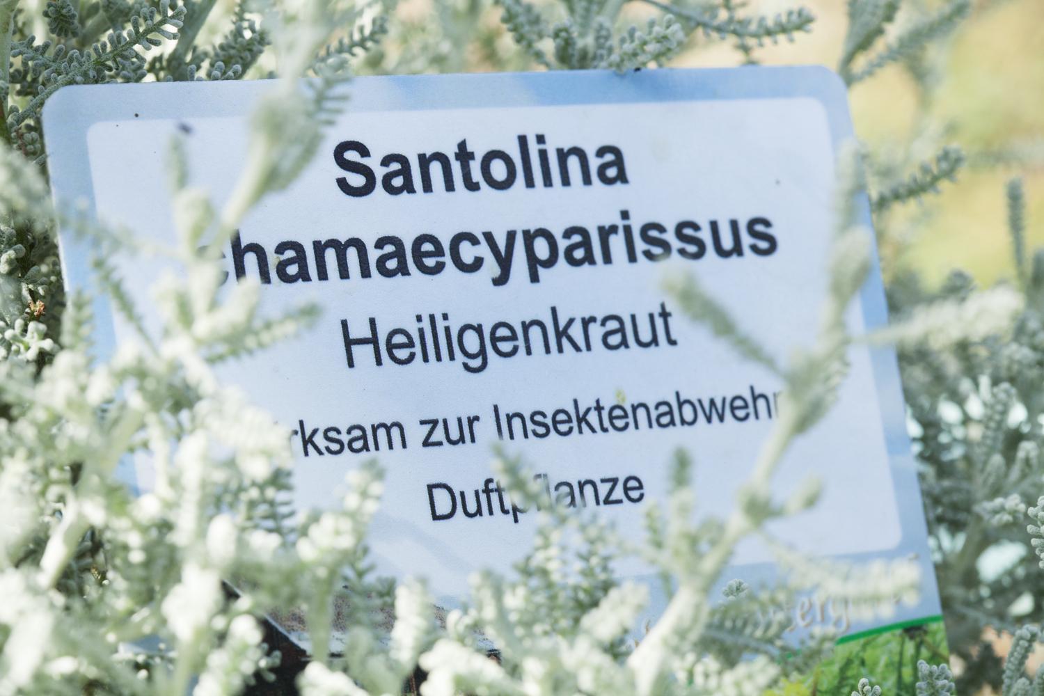 Kräuterpension Rosenkranz