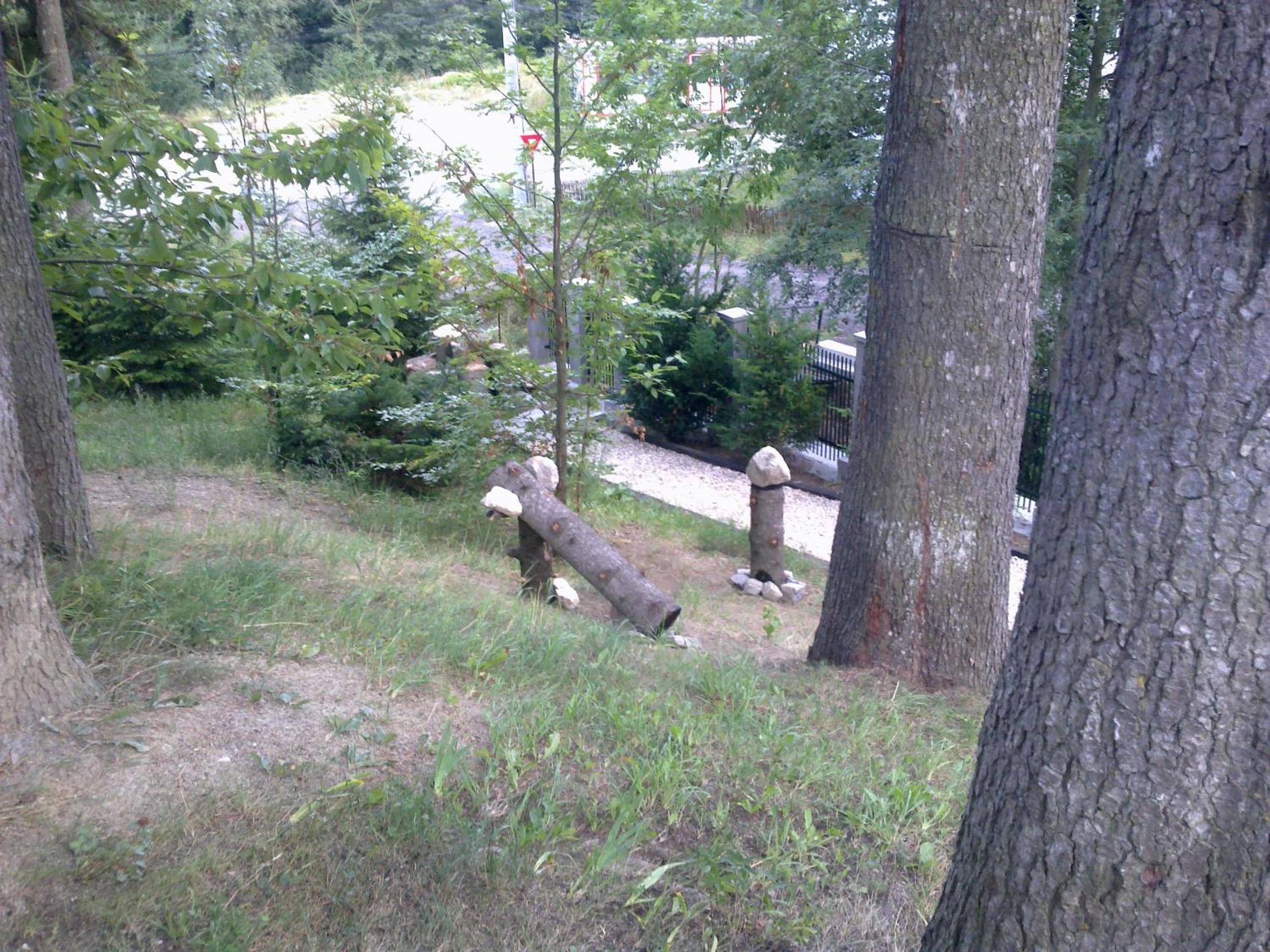 Photo 14