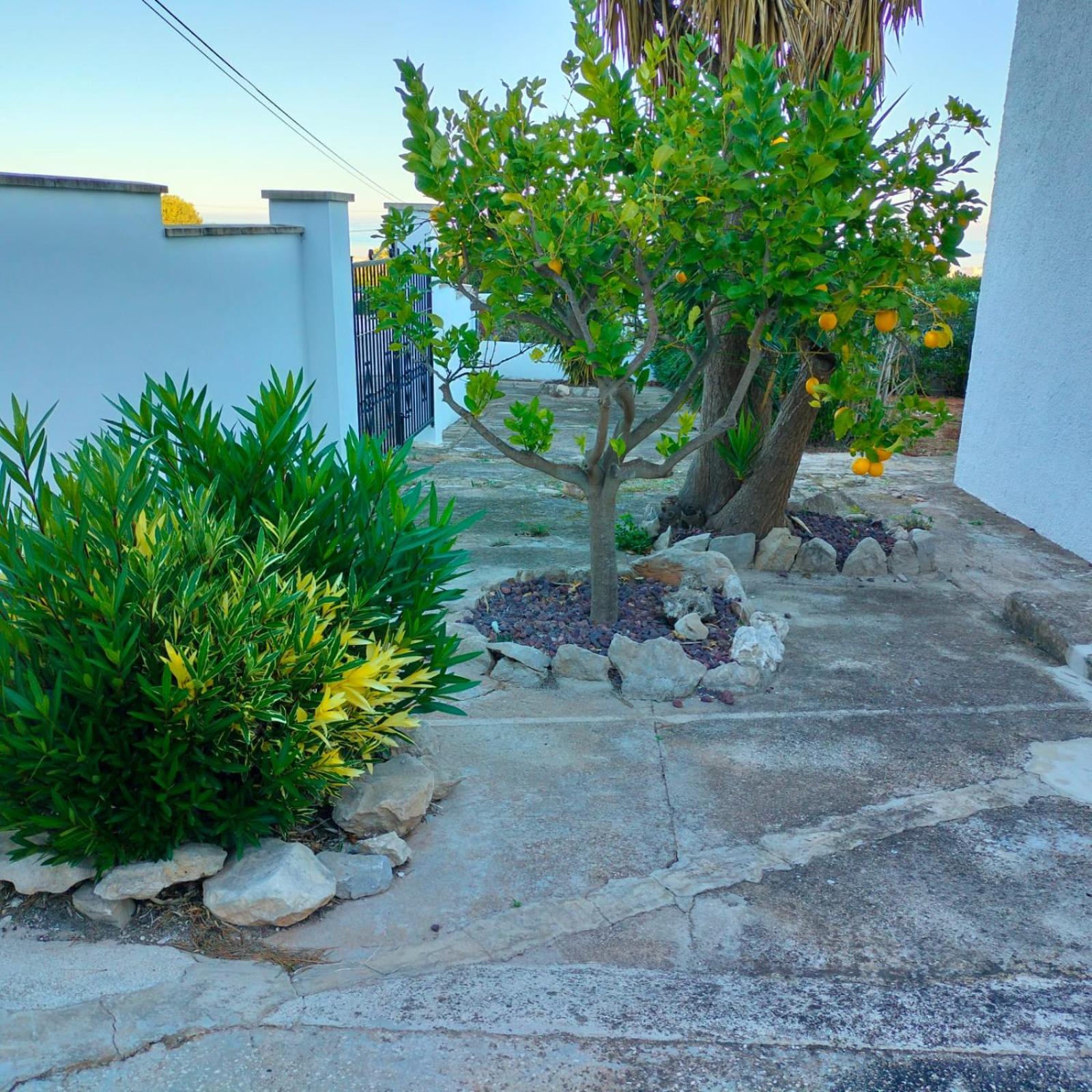 Casa Montgó