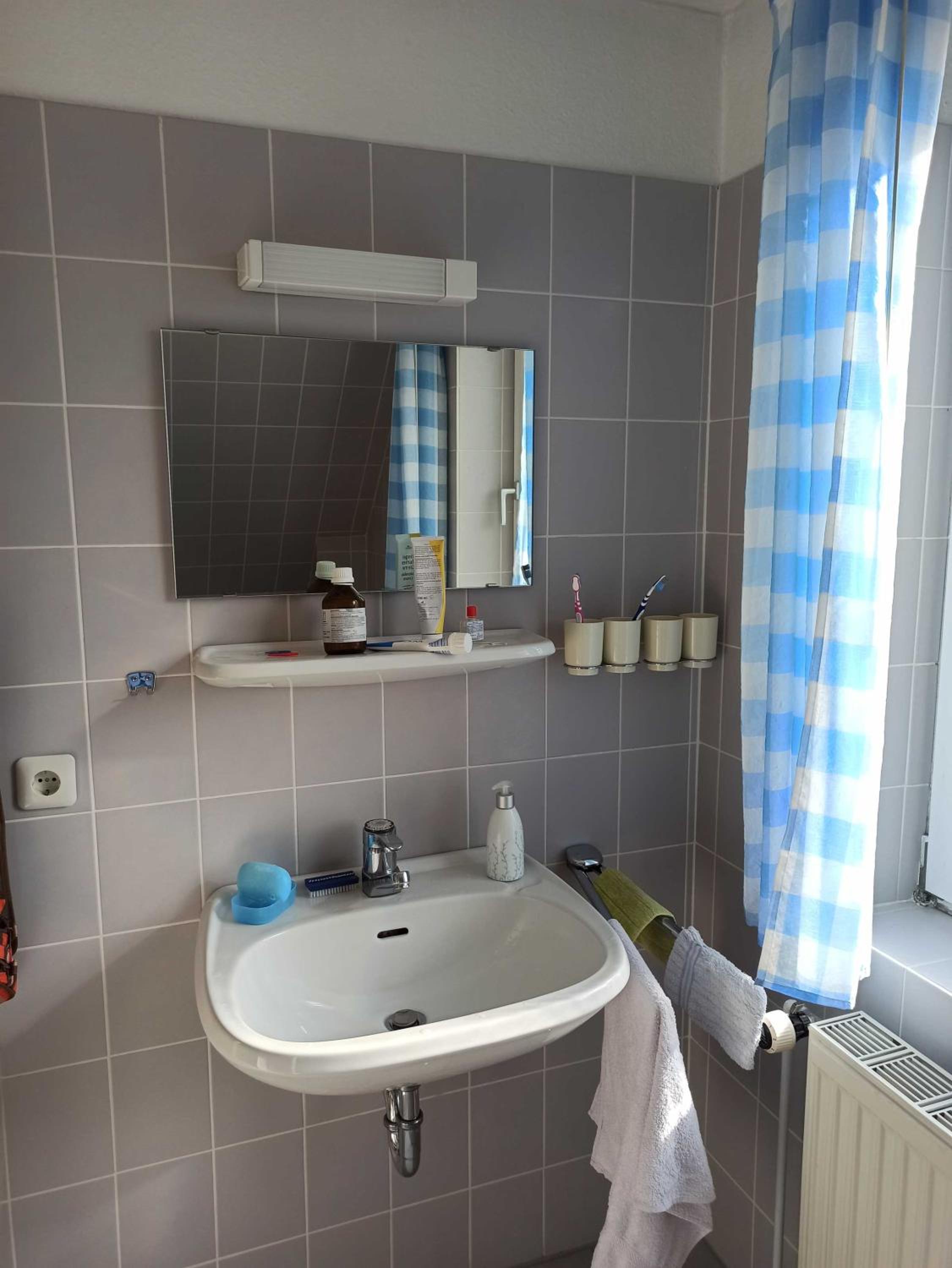 Ferienhaus Friesenrose 45237