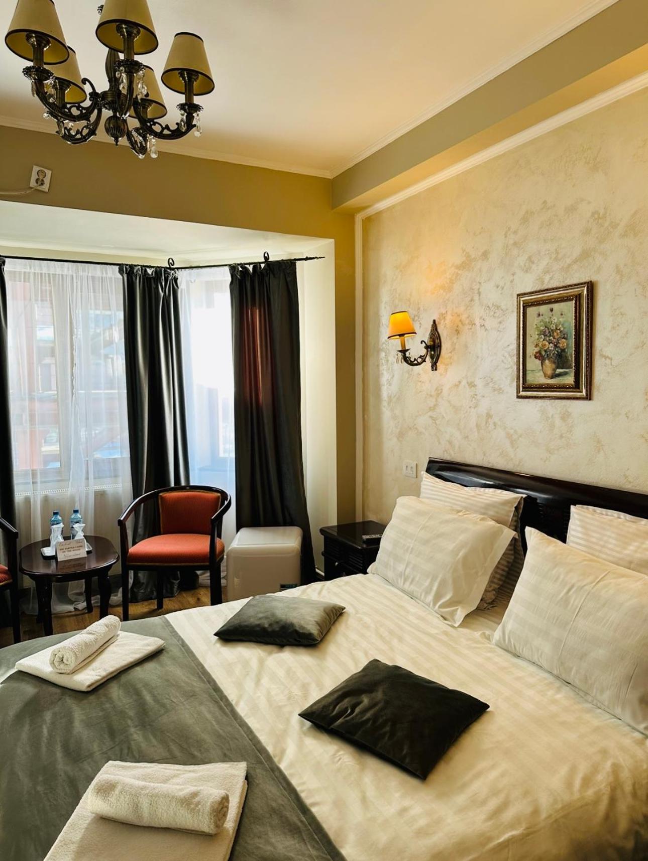 Pensiunea Aristocrat view 5