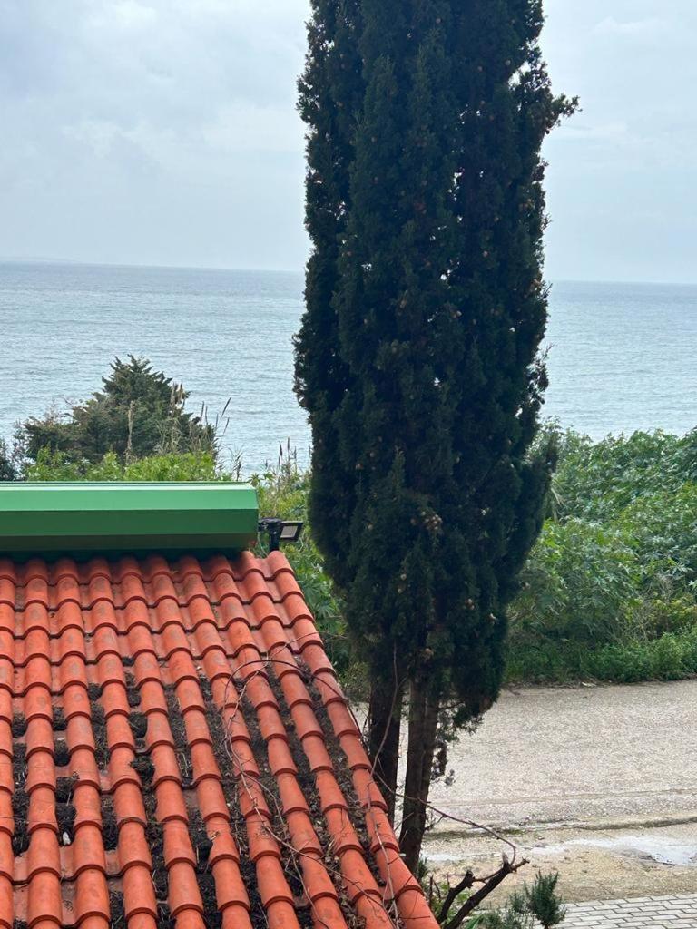 Blue pearl apartment photo 4