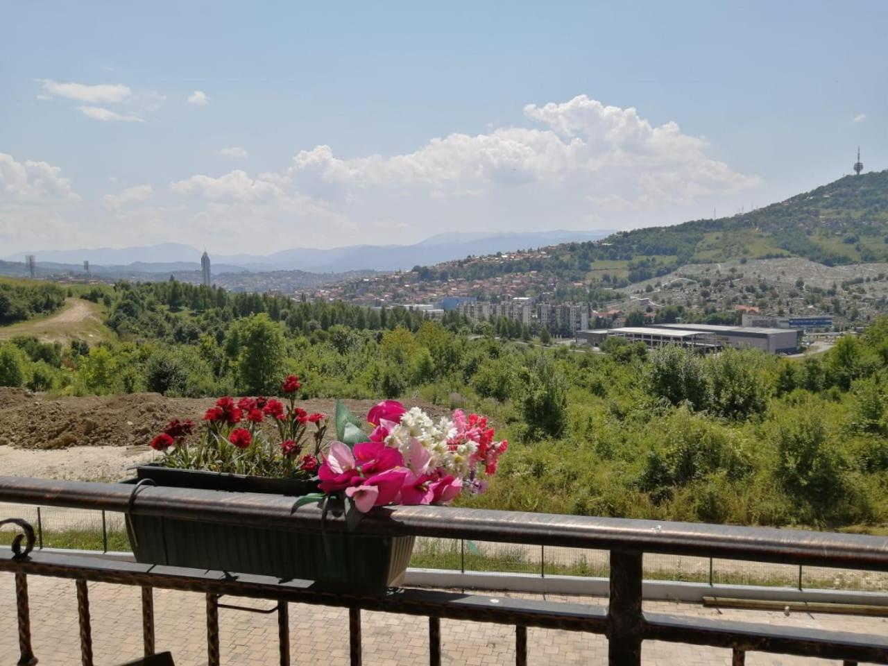Homeland