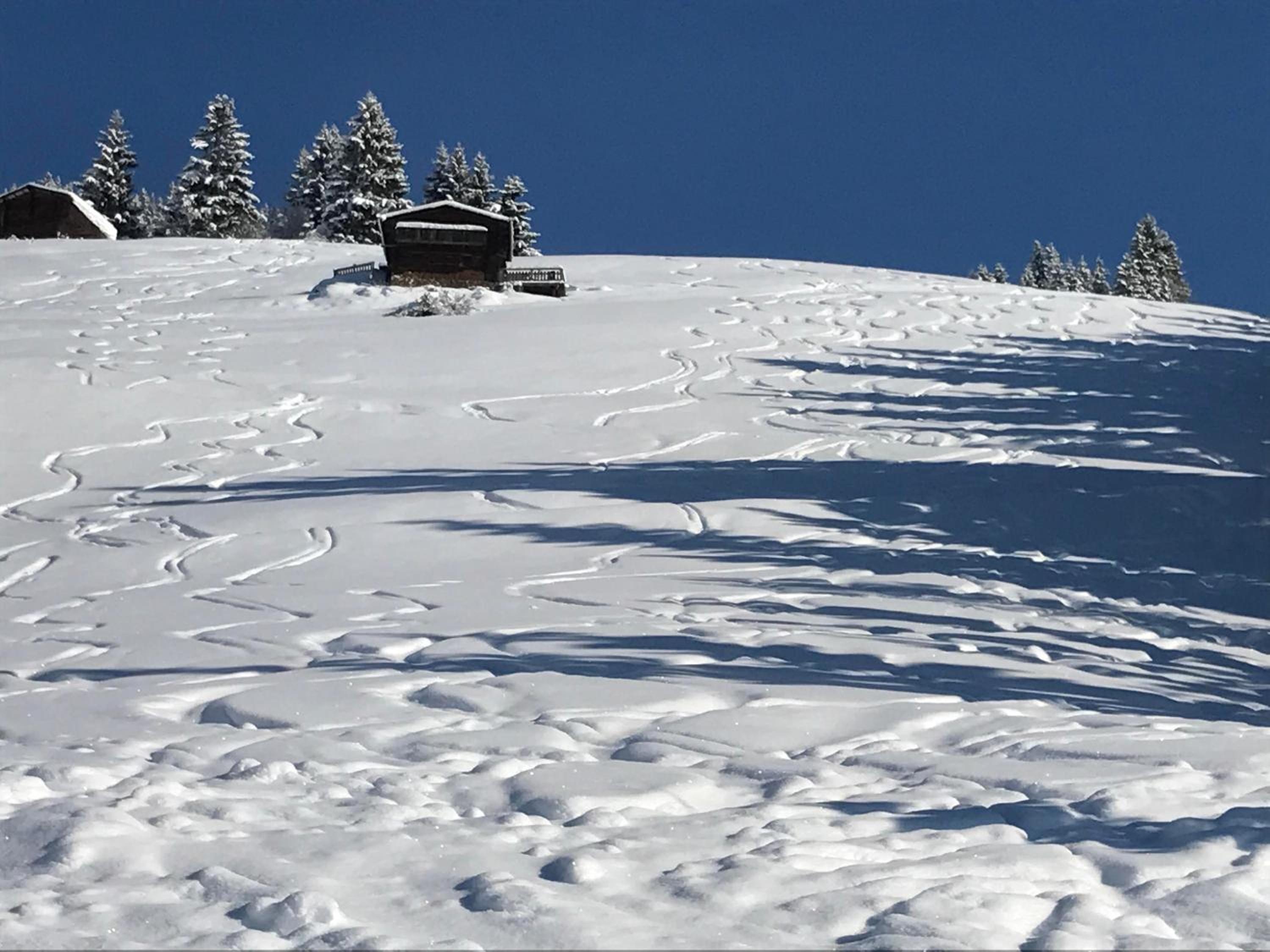Almchalet Zillertal