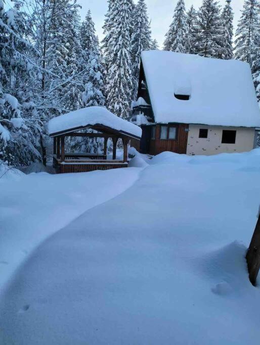 Enchanted Forest Chalet view 2