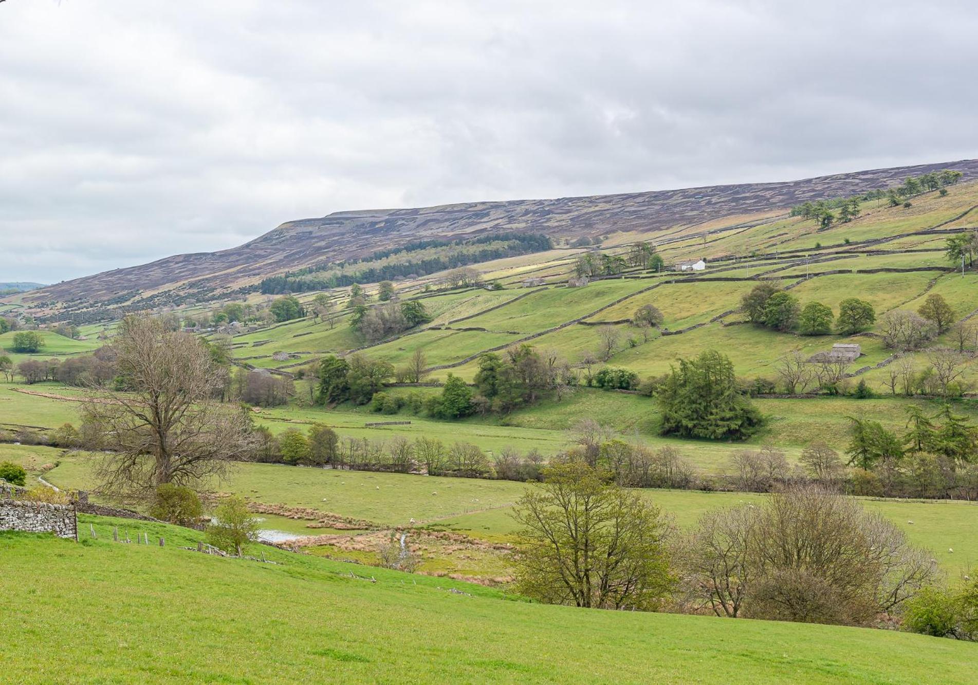 Moorview
