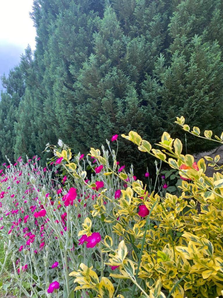 Photo 27