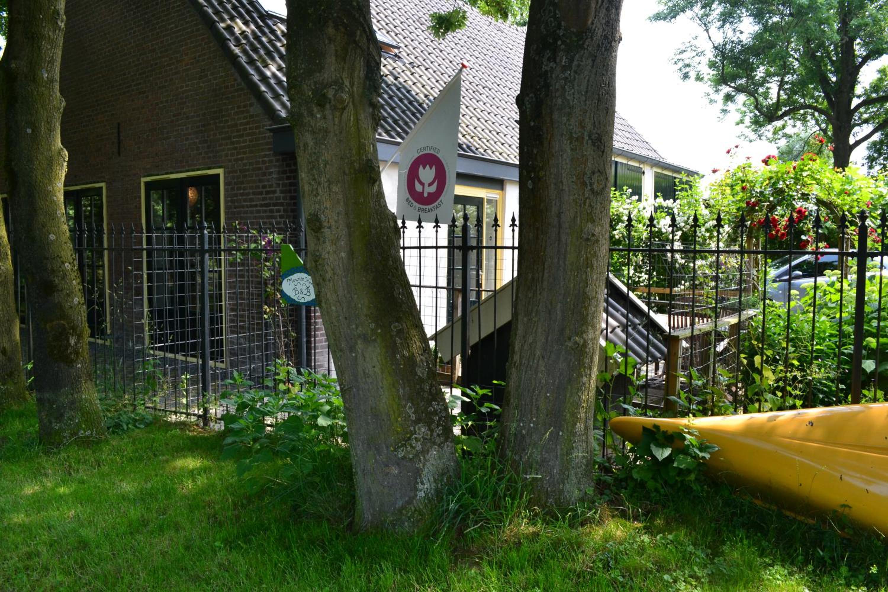 Photo 25