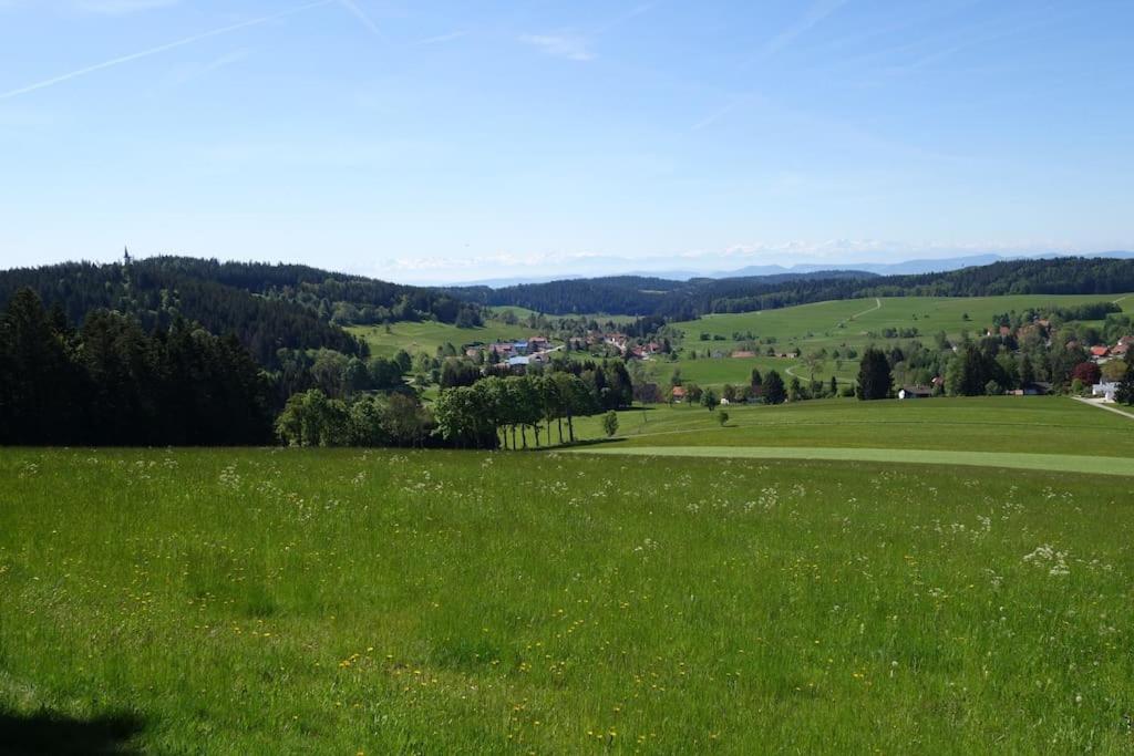 Das Ferienhaus mit lichtem 85m² Studio