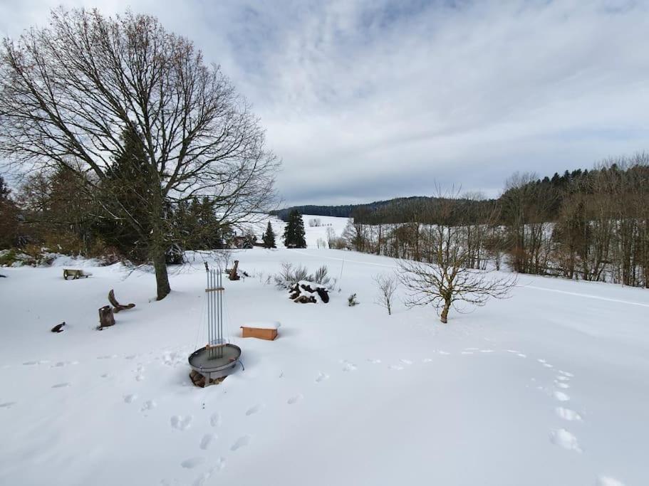 Das Ferienhaus mit lichtem 85m² Studio