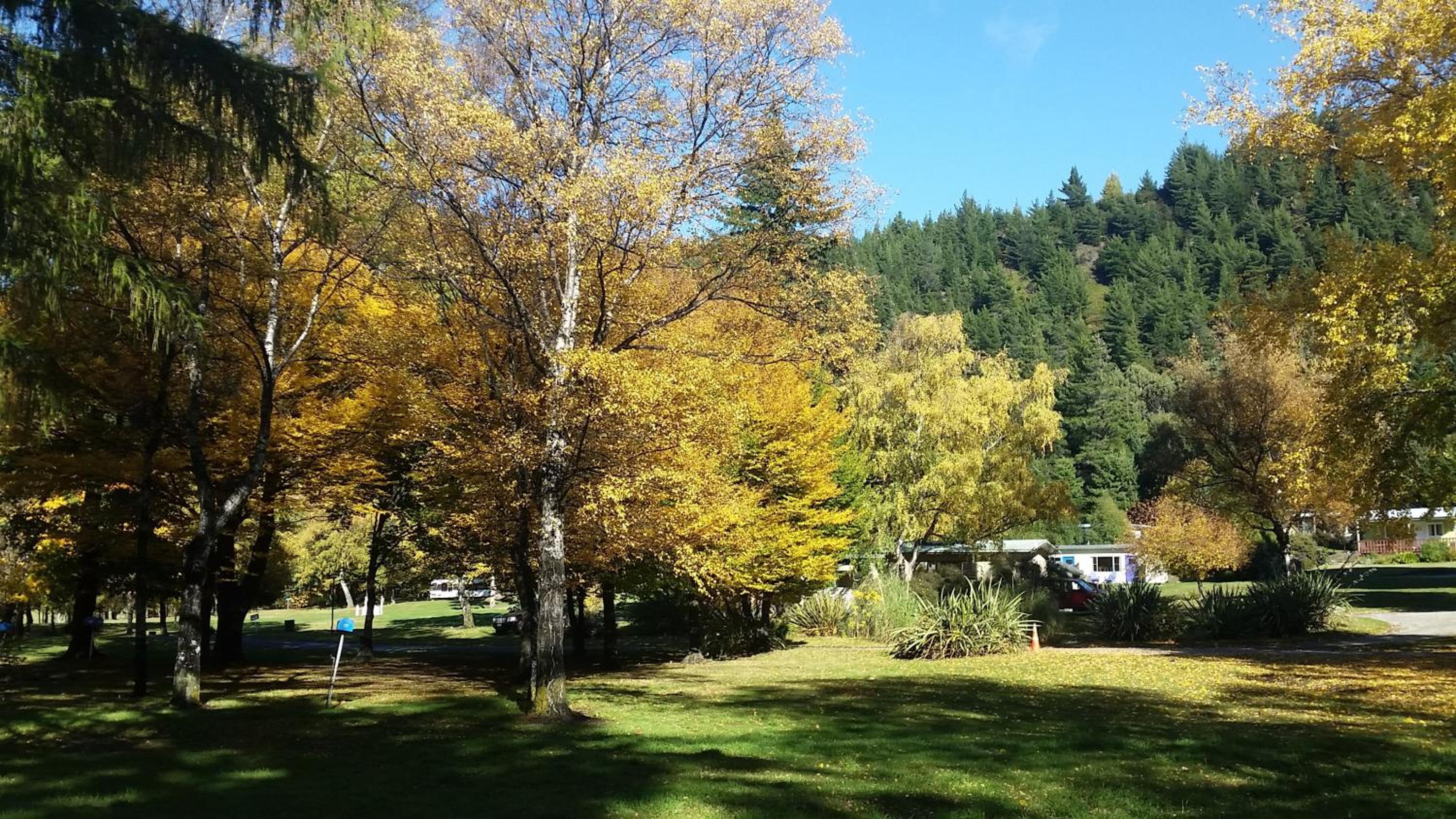 The Camp - Lake Hawea