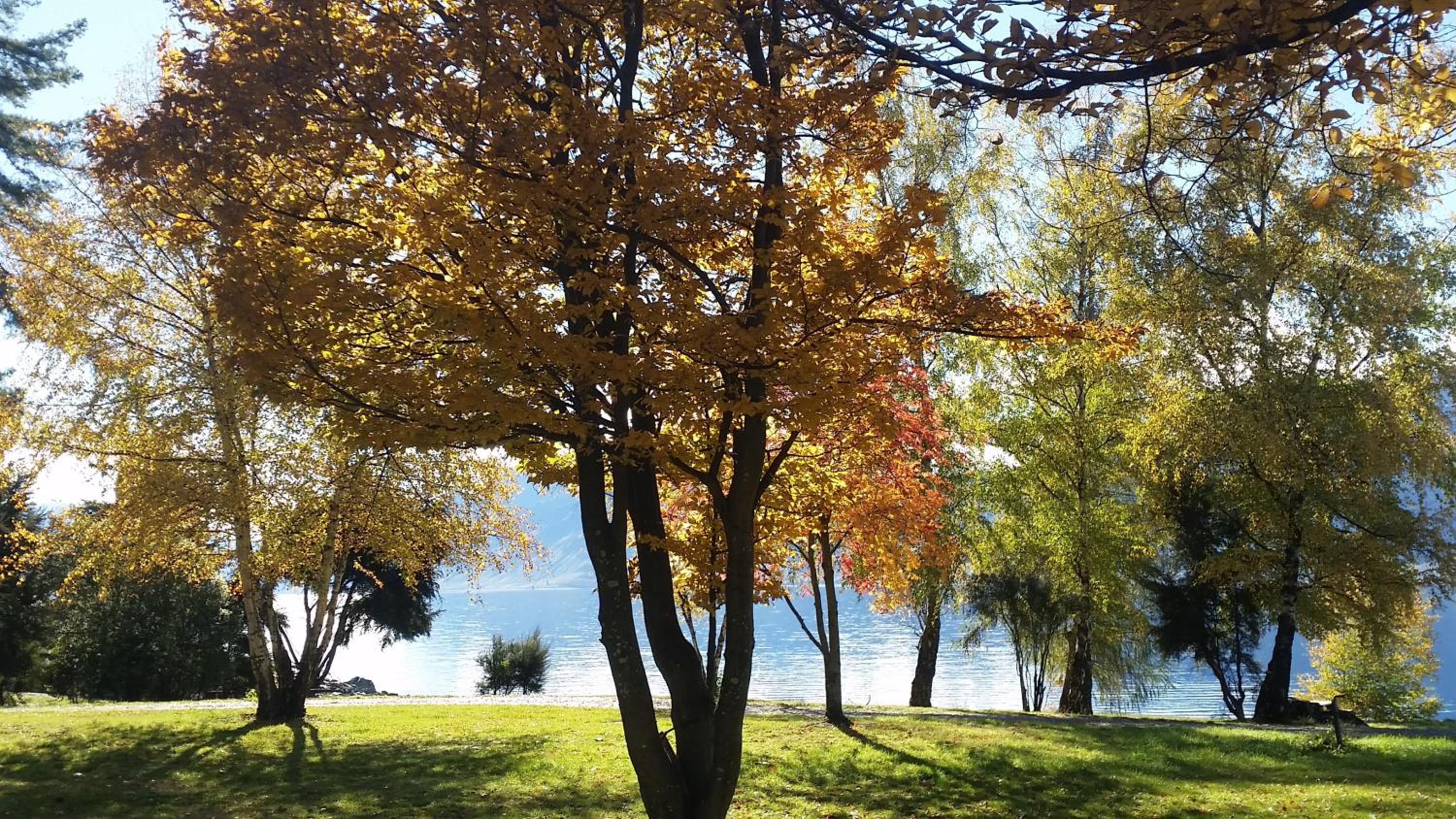 The Camp - Lake Hawea