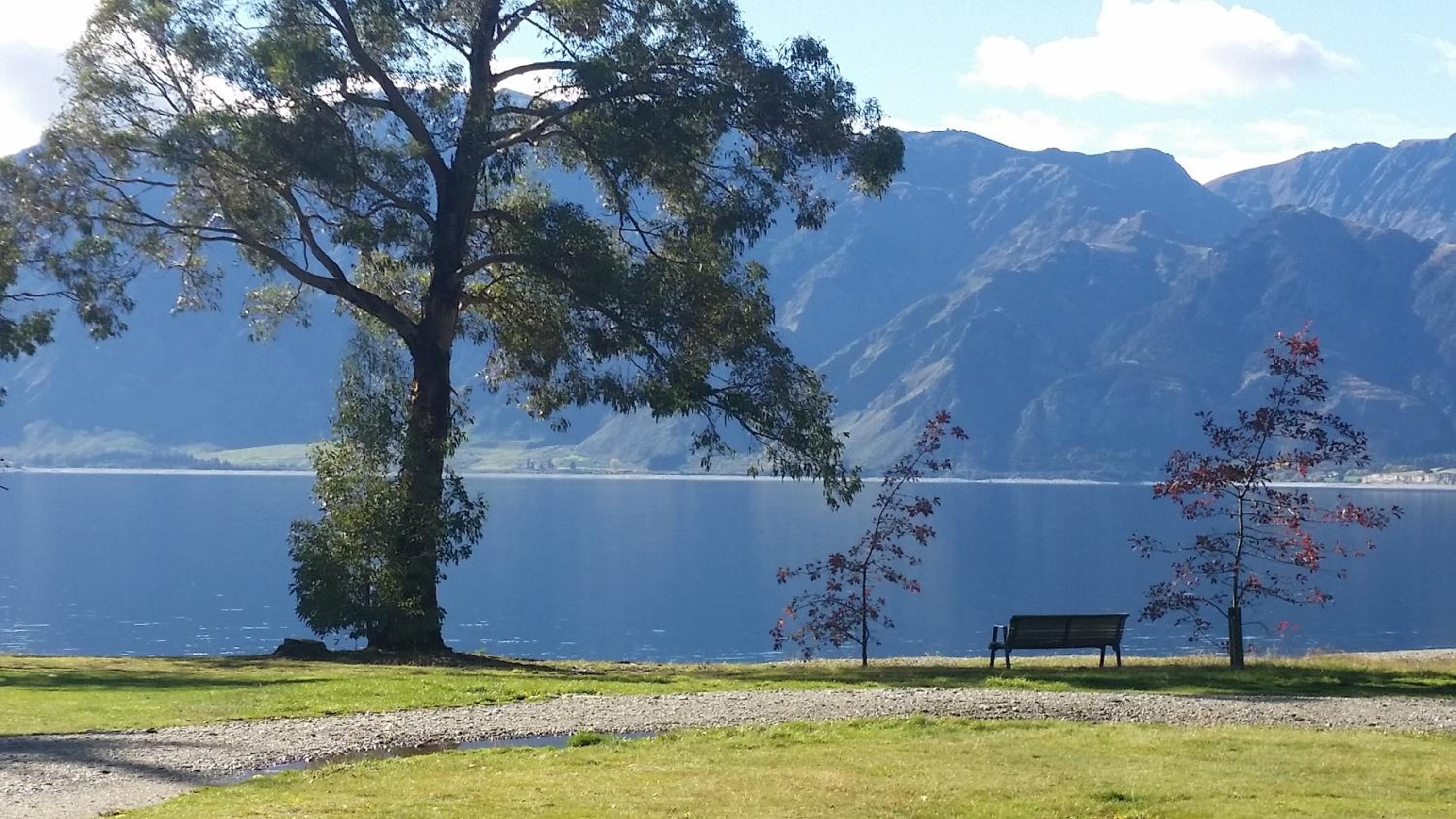 The Camp - Lake Hawea