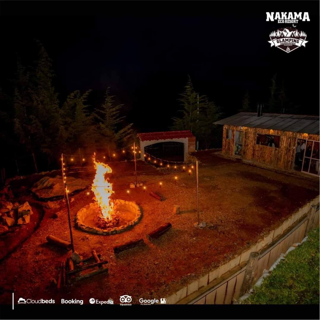 Photo 40