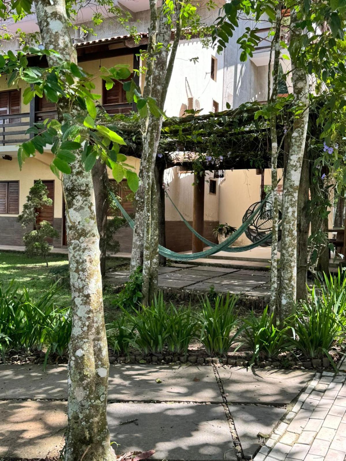 Photo 41