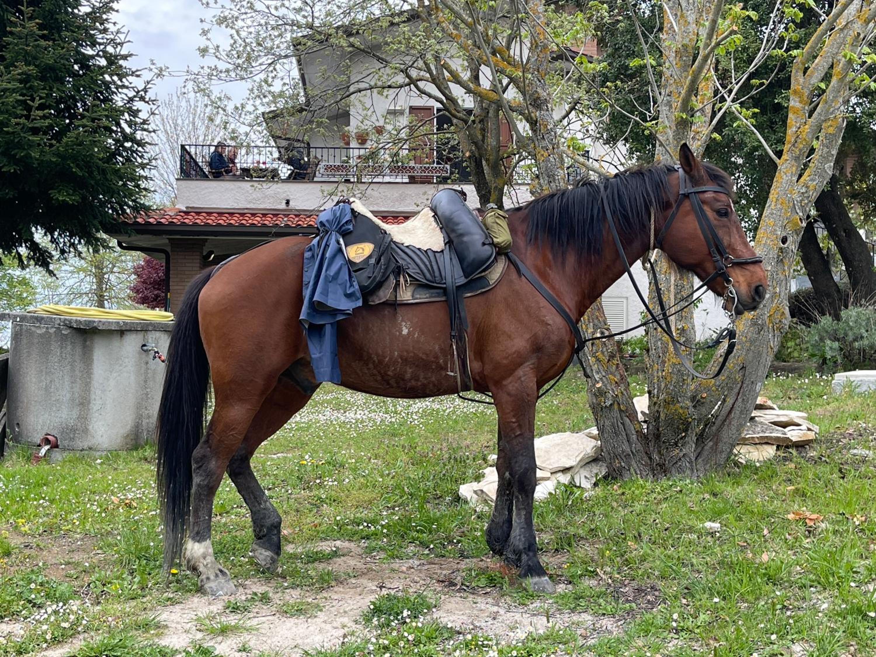 Il Sentiero dei Goti San Marino e Montefeltro