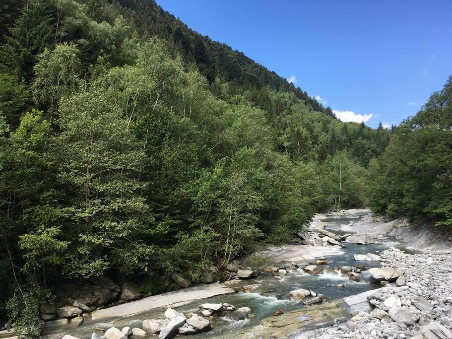Wild Valley Forest View 3 in Valle Onsernone
