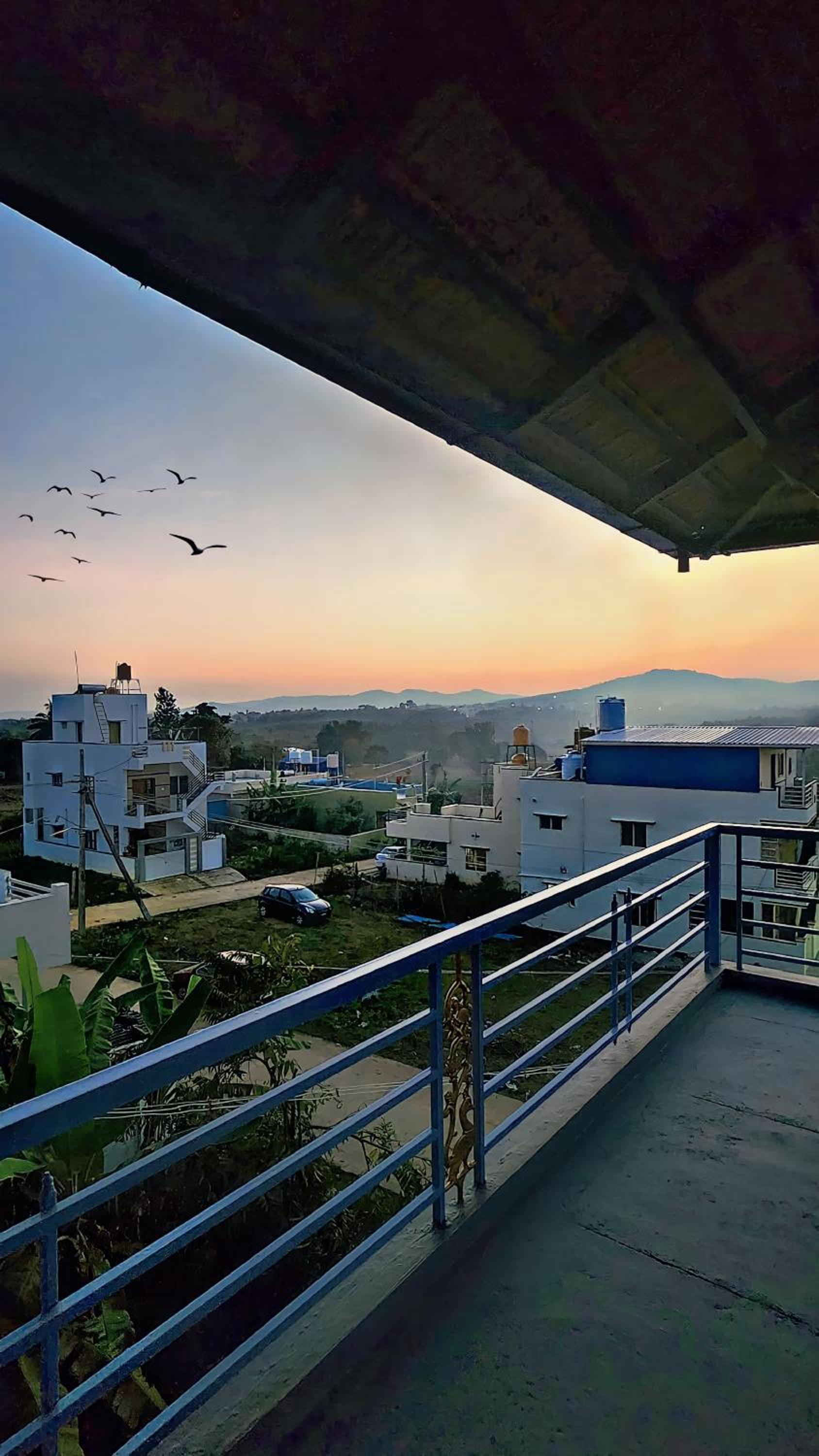 Evergreen Shola View