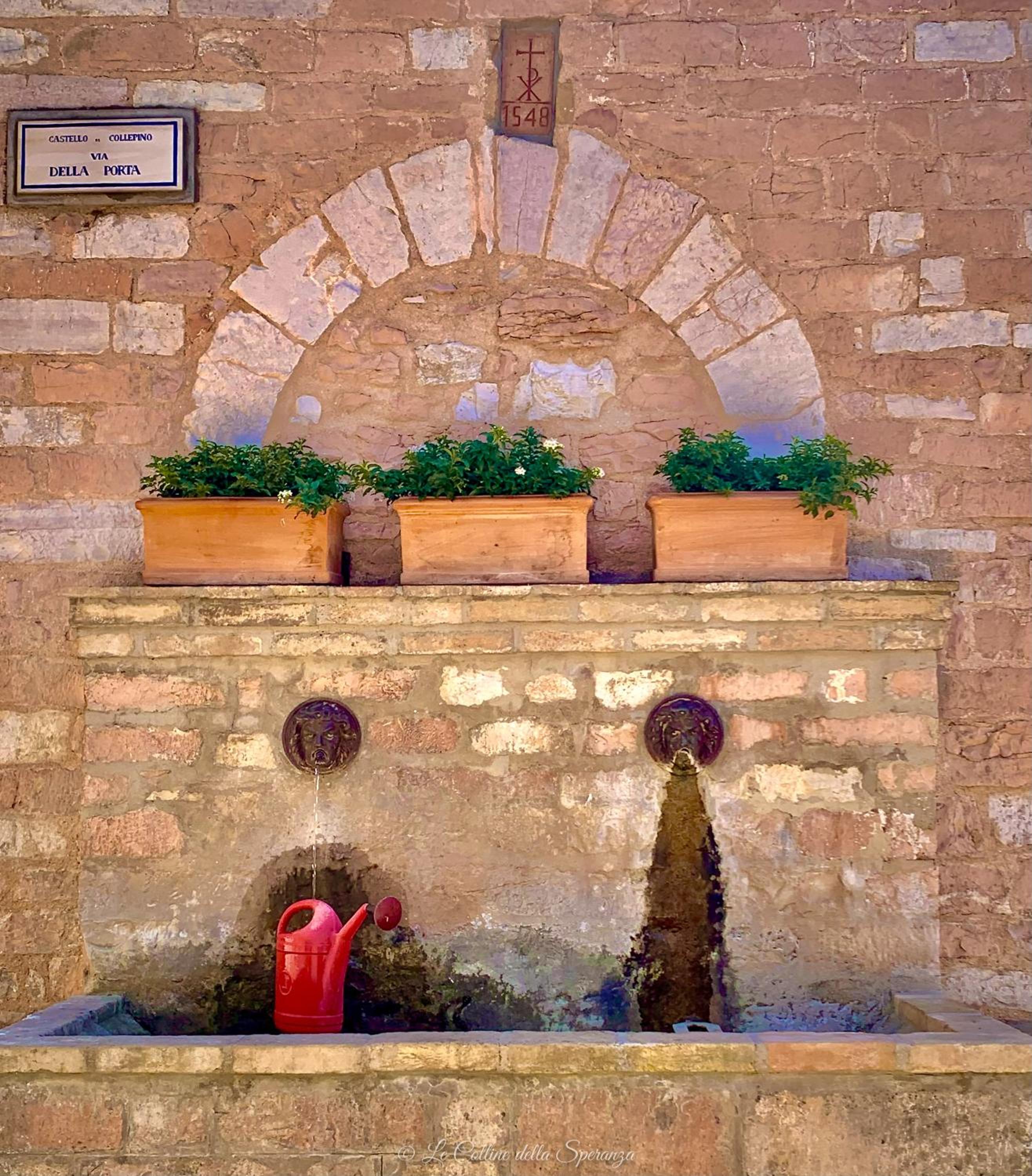 Photo 23
