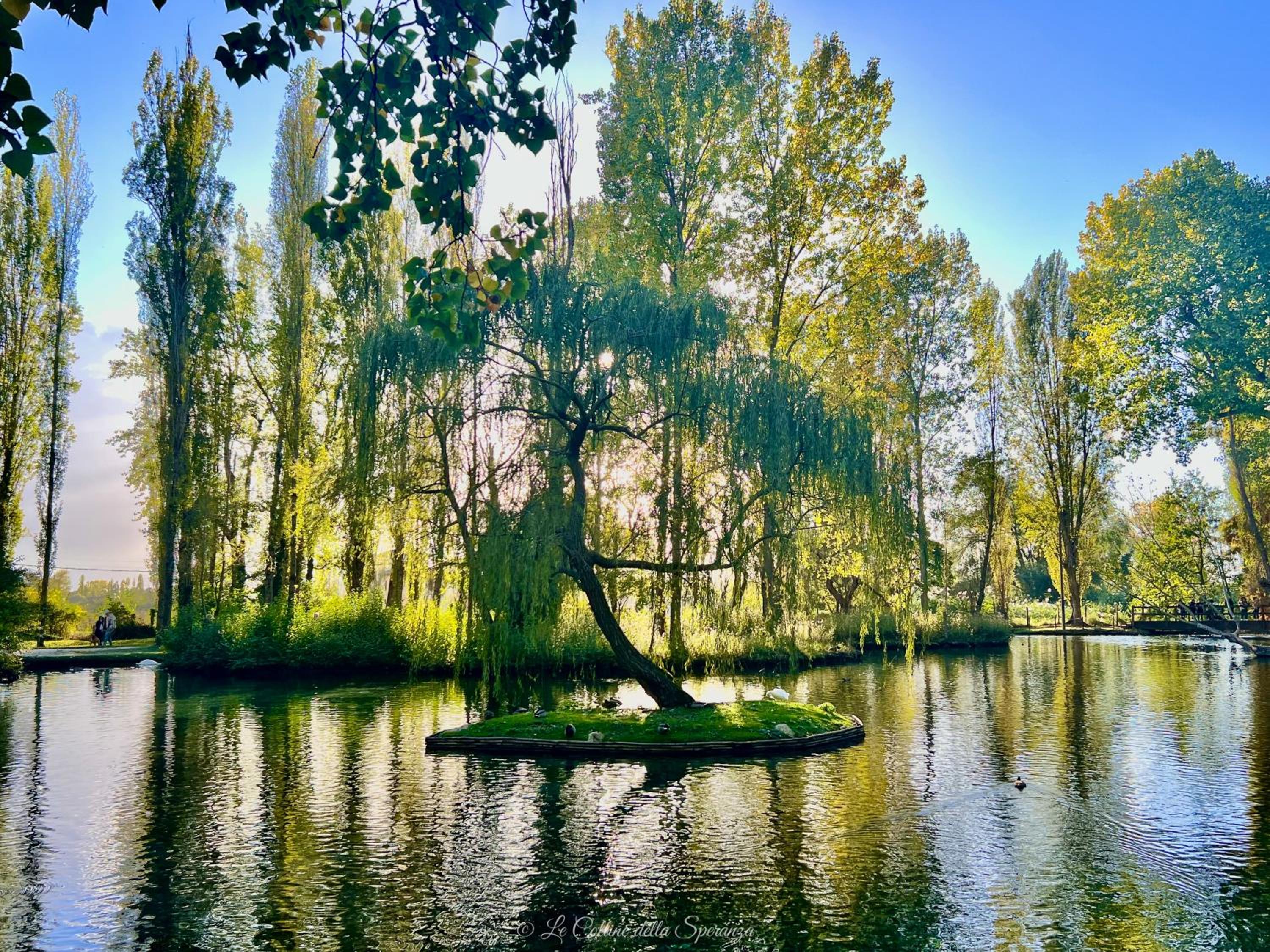 Photo 66