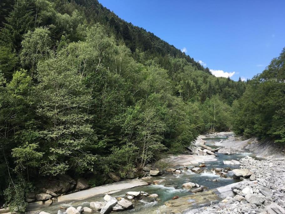 Wild Valley Forest View 4 in Valle Onsernone