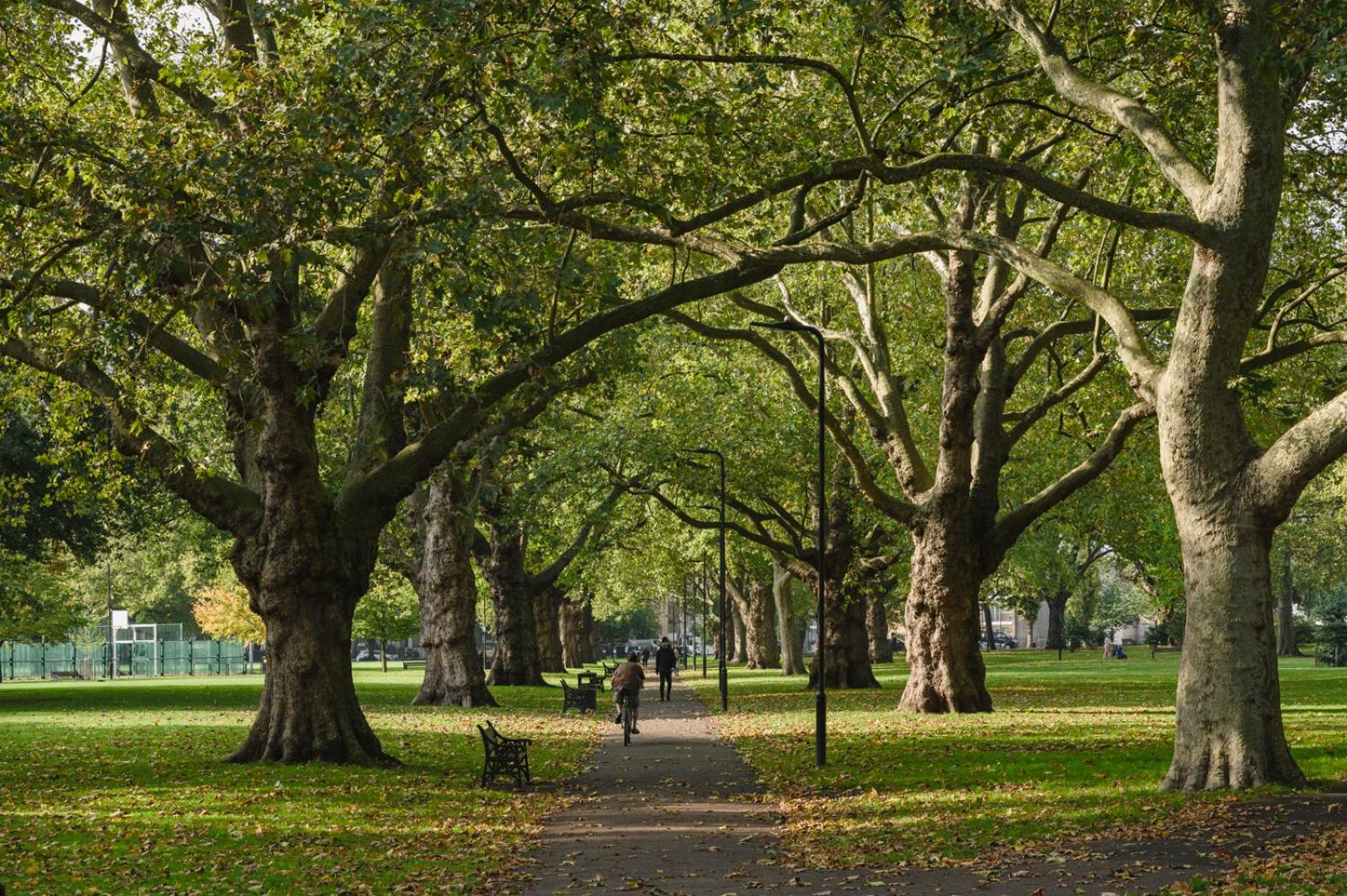 Lovely Apartment in Victoria Park Village
