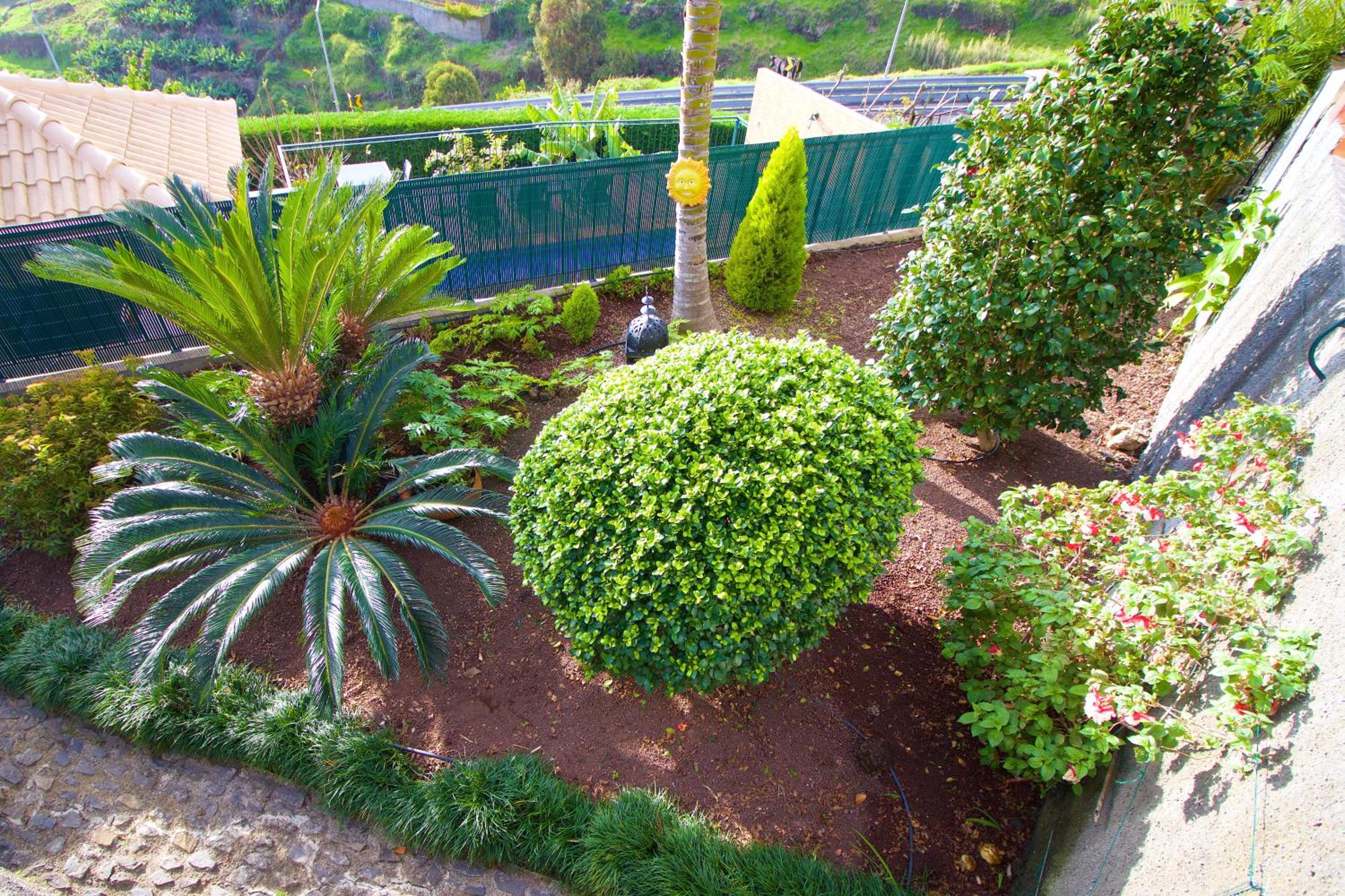 Casa da Rainha view 5