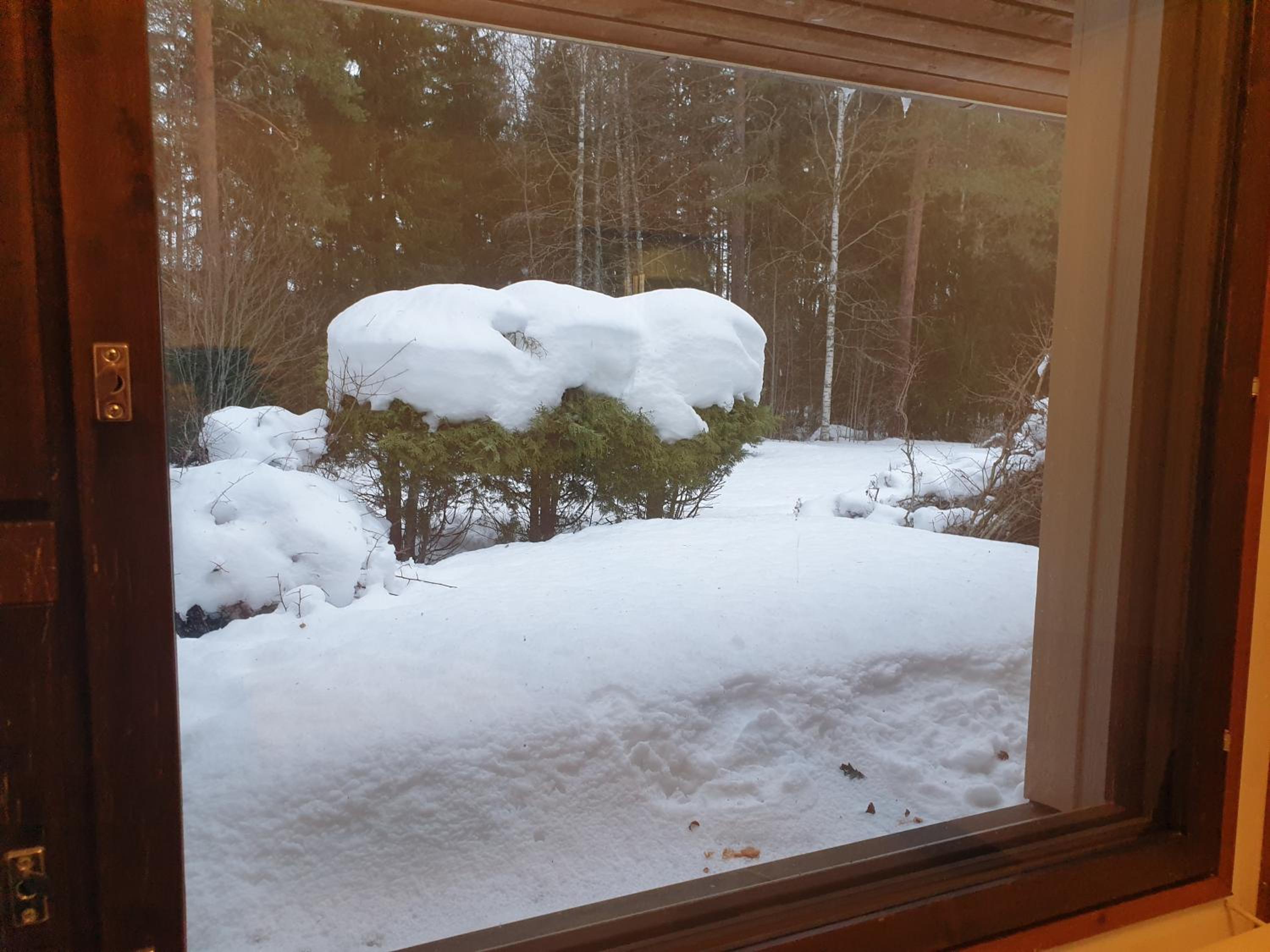 Saunallinen rivitalohuoneisto A2 50m2 view 4