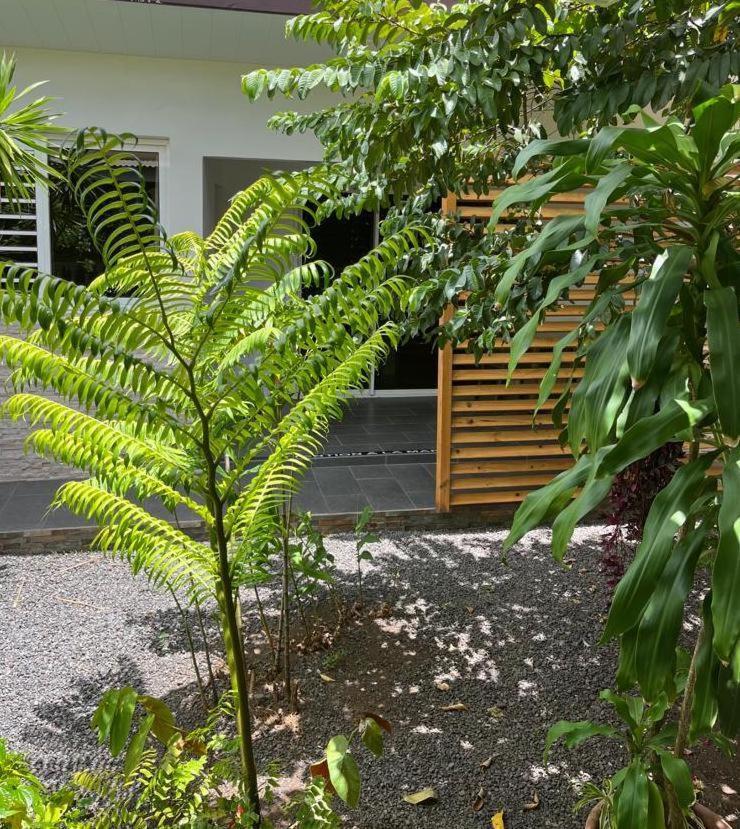 Pension pare lodge view 4