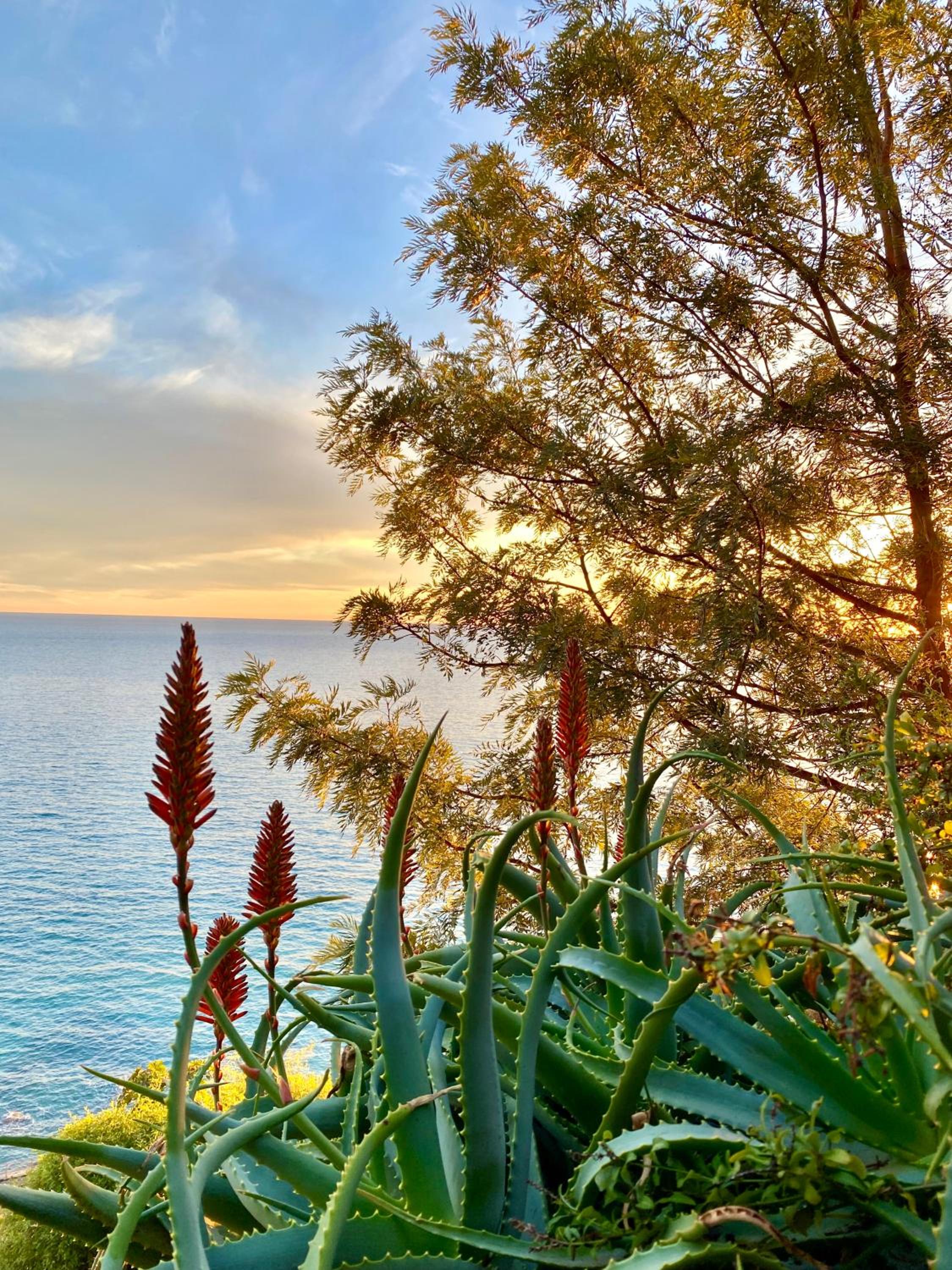 Botanic Garden Apartment Calandre Beach Ventimiglia