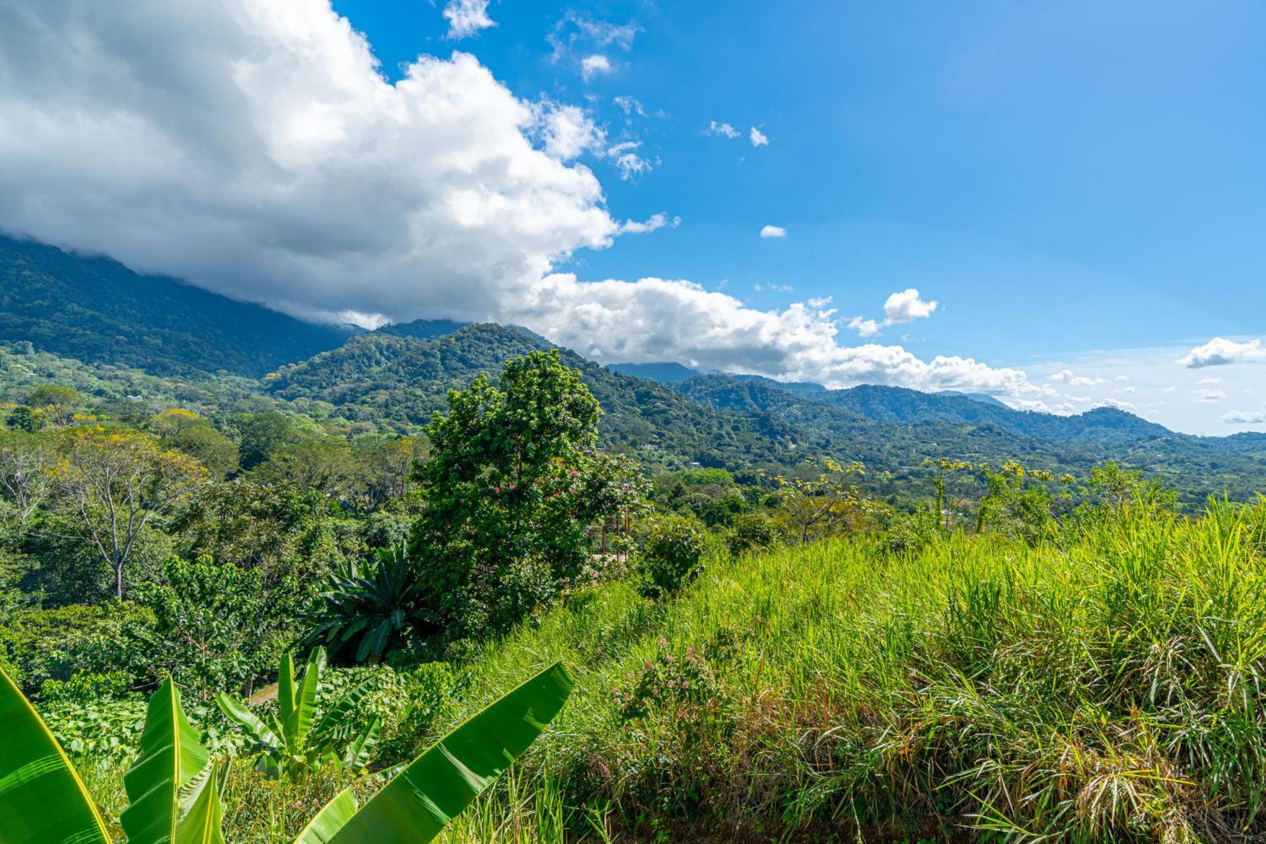 Villa Roca Ocean to Mountain Views - by Pura Villas